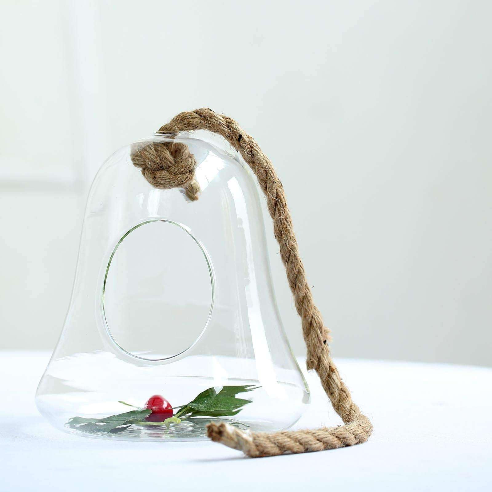 Efavormart 9 Inch Hanging Glass Terrarium with Rope - Air Plant Holder, Succulent Planter, DIY Terrarium Kit for Home Decor, Wedding Centerpiece, and Office Desk Decor