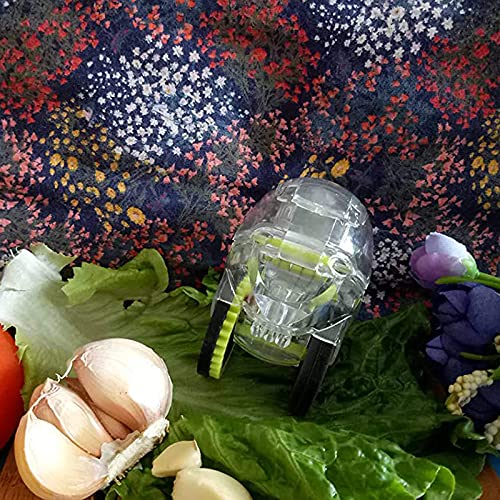 Yicare Stainless Steel Garlic Press and Chopper - Mini Kitchen Gadget for Garlic, Ginger, Nuts - Perfect for Cooking, Salad Making & Meal Prep