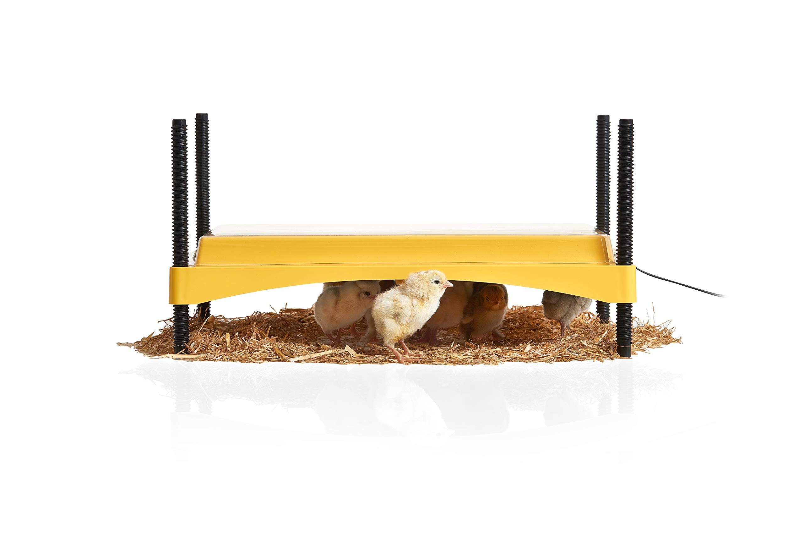Brinsea Ecoglow Safety 1200 Adjustable Chick Brooder Plate - 18W Poultry Heater for 35 Chicks or Ducklings, Height & Angle Adjustment, Safety Indicator - Perfect for Chicken Coops, Backyard Farms & Hatching Eggs