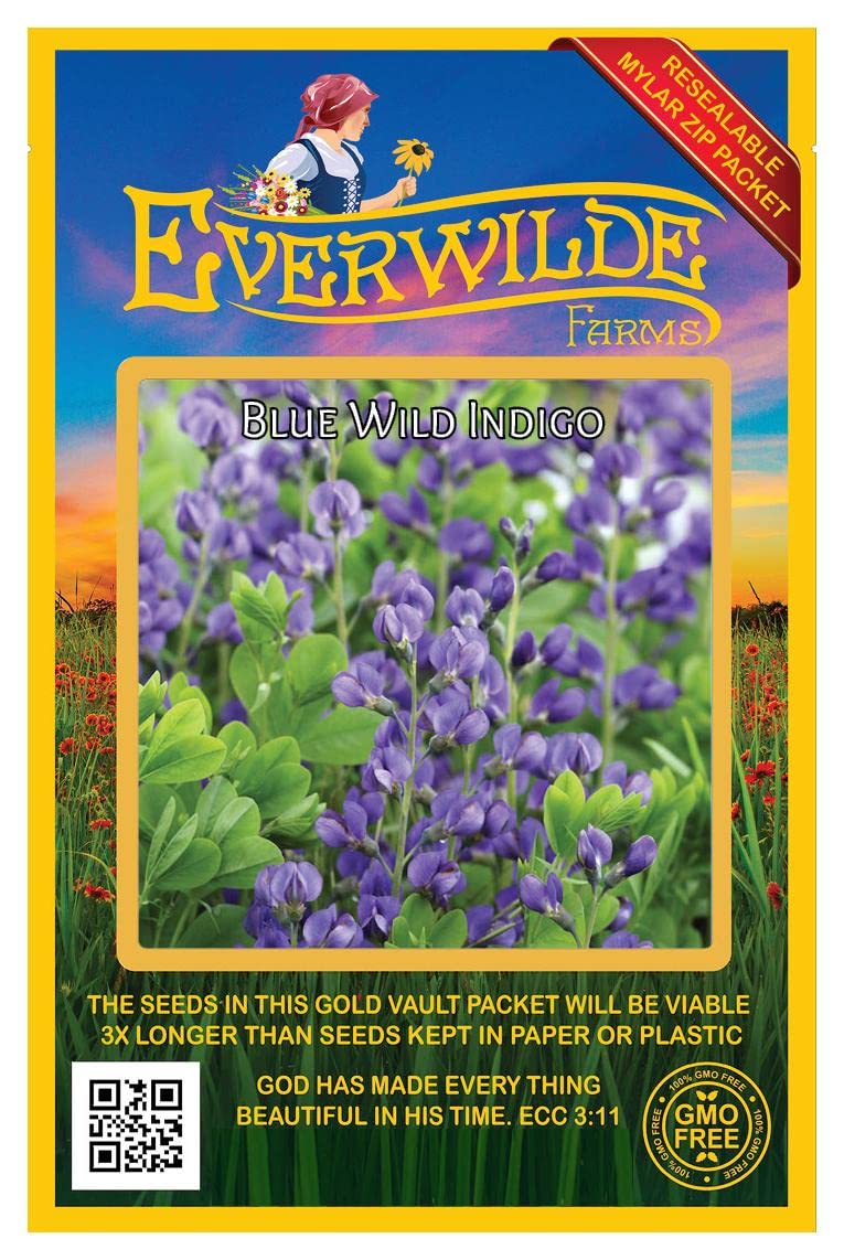 Everwilde Farms - 60 Blue Wild Indigo Native Wildflower Seeds - Gold Vault Jumbo Seed Packet for Pollinator Gardens & Landscaping