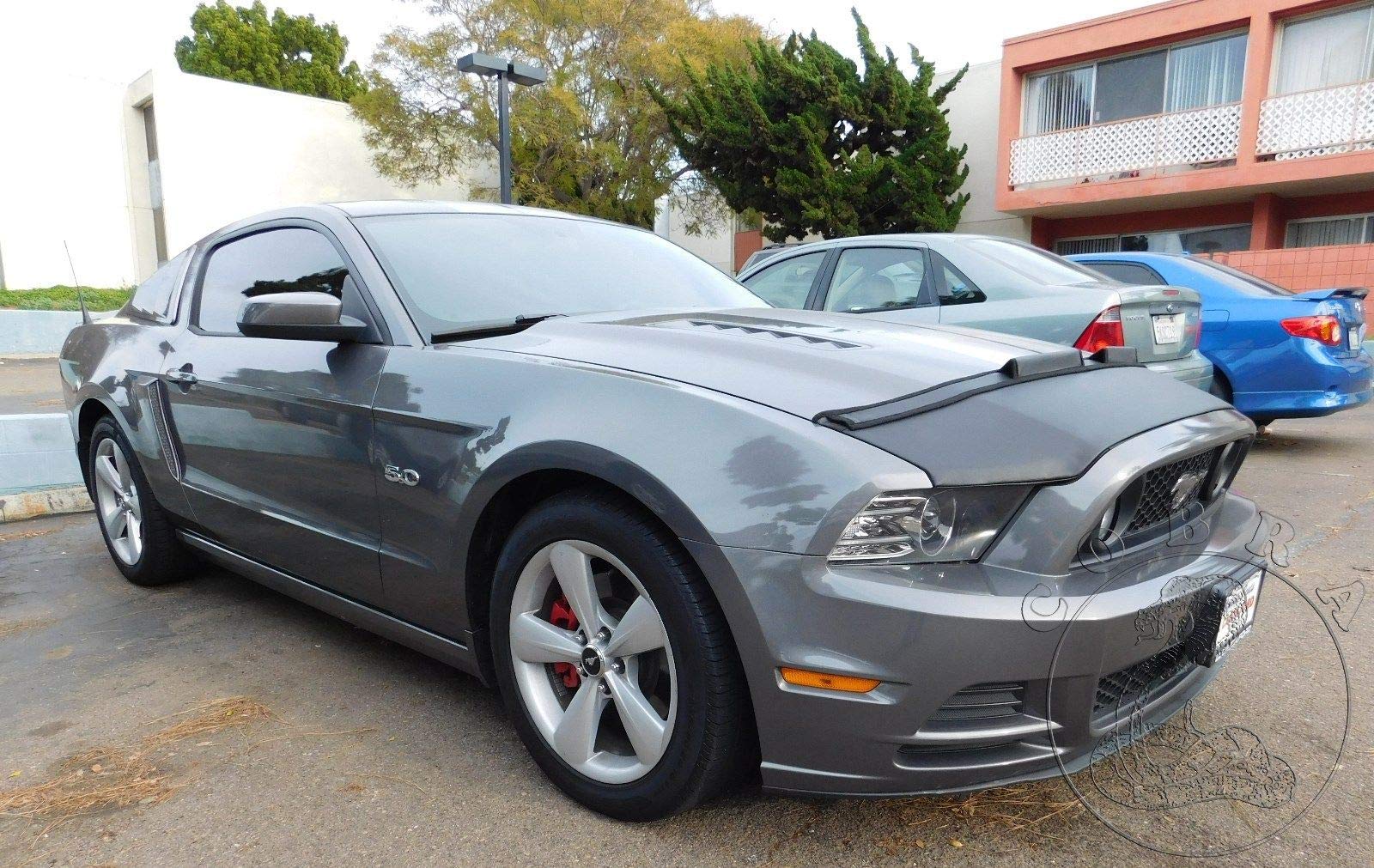 2013-2014 Ford Mustang GT Car Hood Mask Bonnet Bra - Protective Cover for Dust, Rocks & Road Debris - Perfect for Road Trips & Car Shows