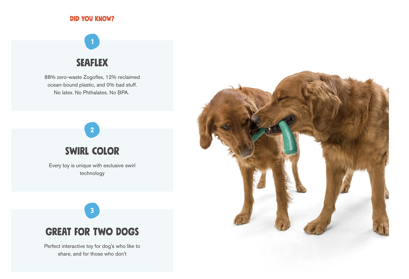 Snorkl Seaflex Floating Dog Fetch Toy - Durable Water & Beach Play for Dogs - Perfect for Swimming, Pool, Lake & Outdoor Activities
