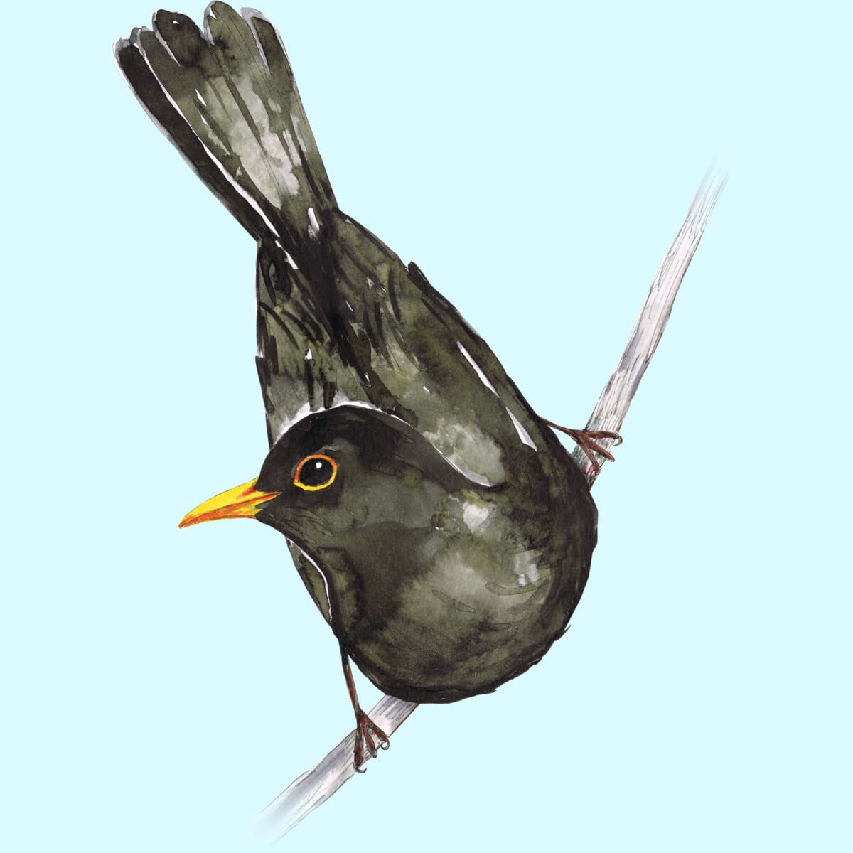 Design By Humans Men's Blackbird Watercolor Graphic Tee by Bwiselizzy - Soft Cotton T-Shirt for Casual Wear & Street Style - Perfect for Everyday Outfits & Gifts