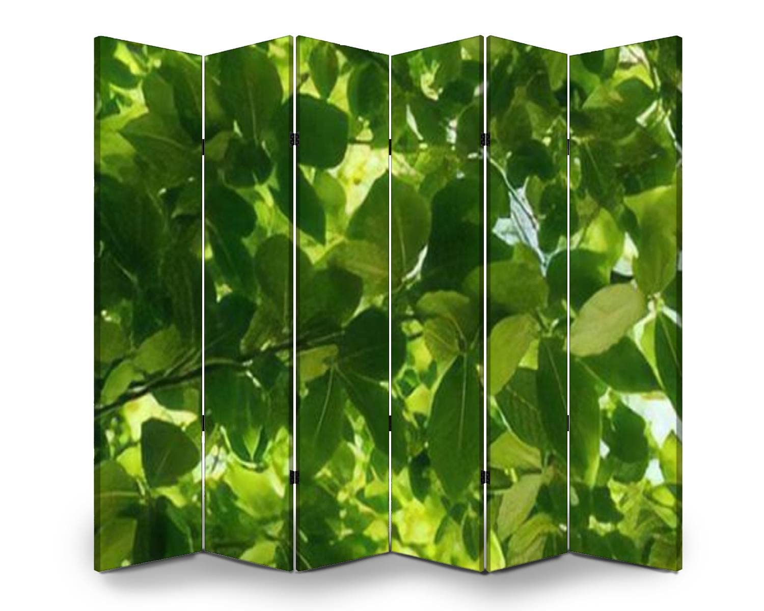 6-Panel Folding Room Divider with Oriental Beech Leaf Pattern - Privacy Screen for Home Office, Bedroom Partition, Indoor Space Separator, Freestanding Protective Wall Divider - Perfect for Living Rooms, Studios & Event Spaces