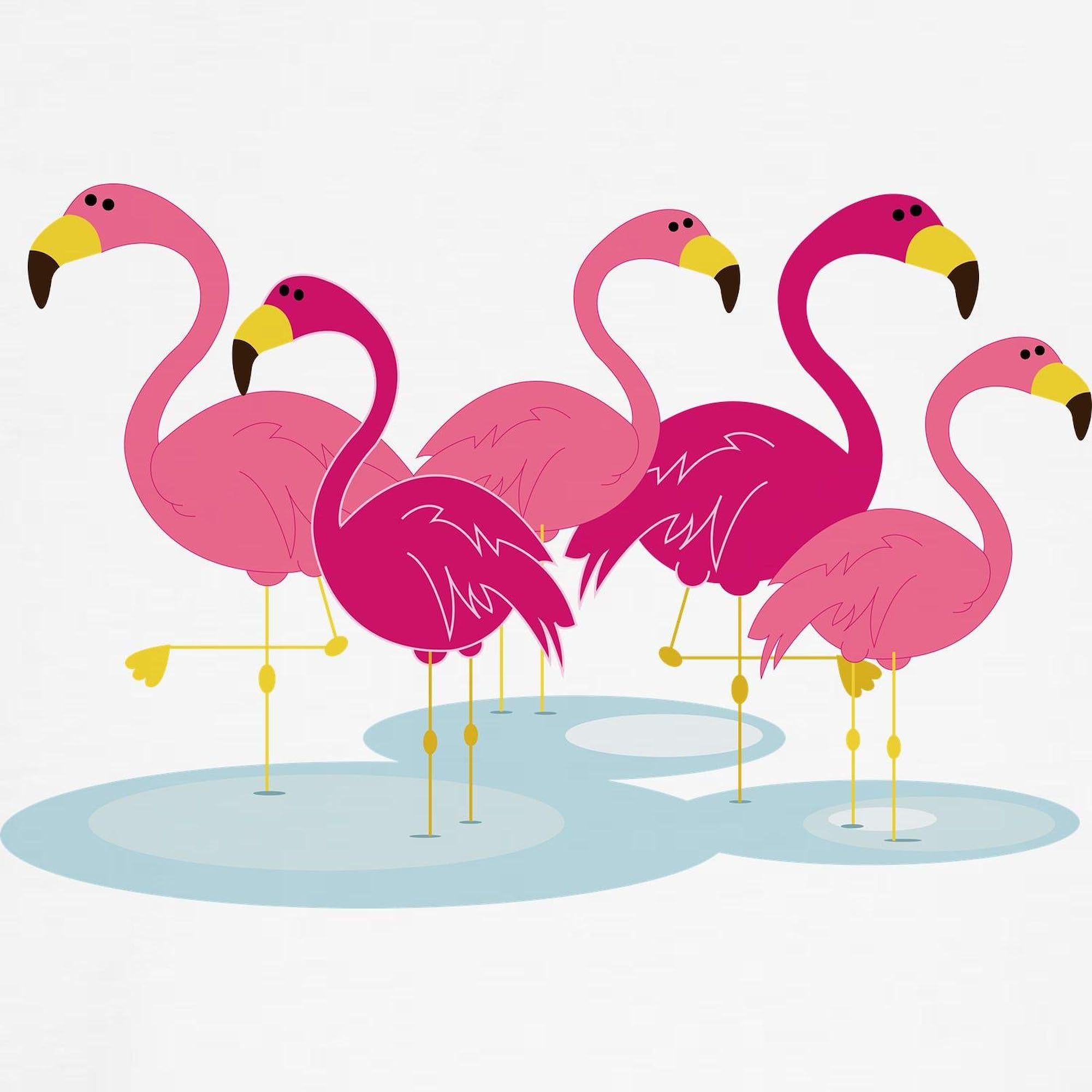 Flamingo Maternity T-Shirt for Women - Stretchy Ruched Side Design for Comfort & Style | Perfect for Pregnancy Photos, Baby Showers & Casual Wear