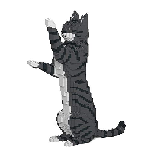 Dark Grey Tabby