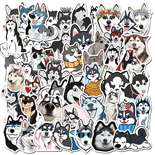 50 Siberian Husky Stickers