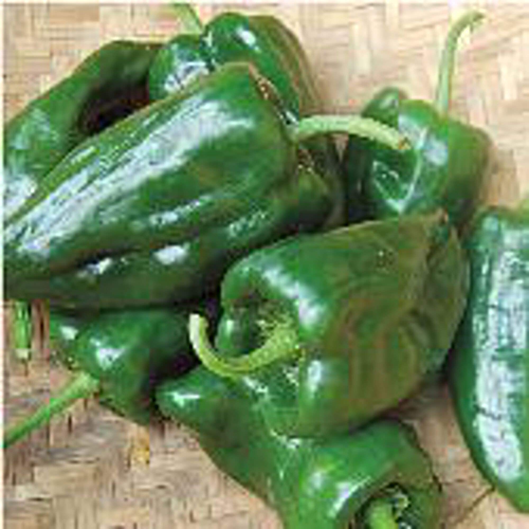 Organic Poblano Pepper Seeds - Non-GMO Heirloom Vegetable Seeds (25+ Seeds Pack) for Home Gardening, Cooking & Mexican Cuisine - Seed King Express Premium Quality