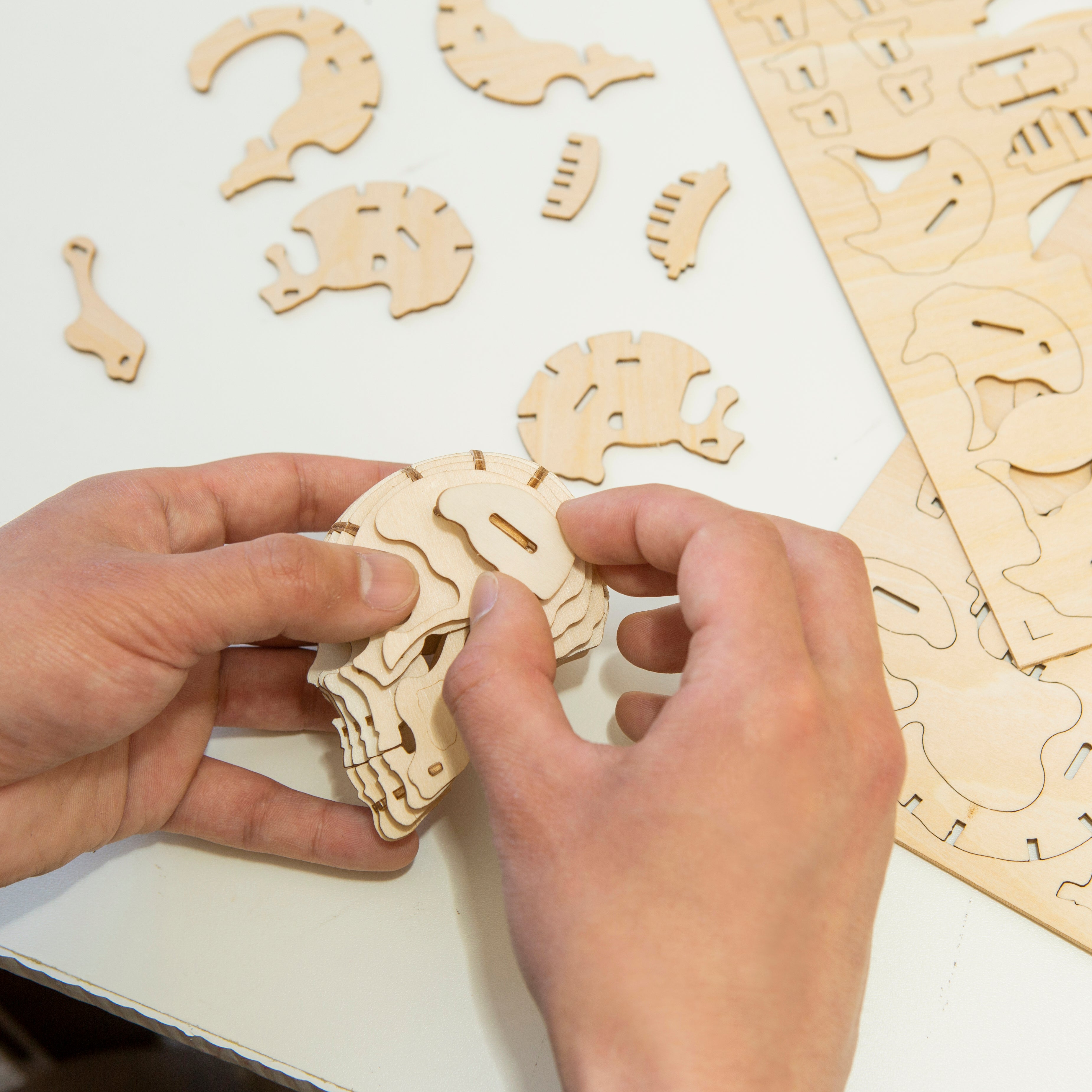 3D Wooden Skull Puzzle for Adults - DIY Brain Teaser & Home Decor - Perfect for Halloween, Gothic Decor, and Puzzle Enthusiasts
