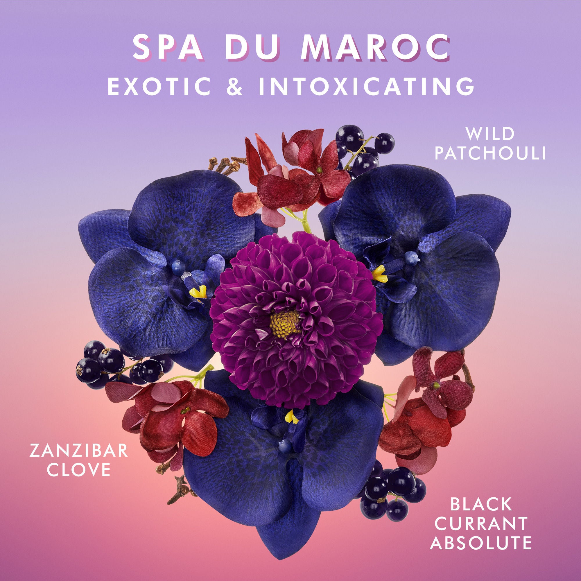 Moroccan Spa Hand Cream - Ultra Moisturizing & Nourishing for Dry Skin - Perfect for Winter Care & Gift Giving
