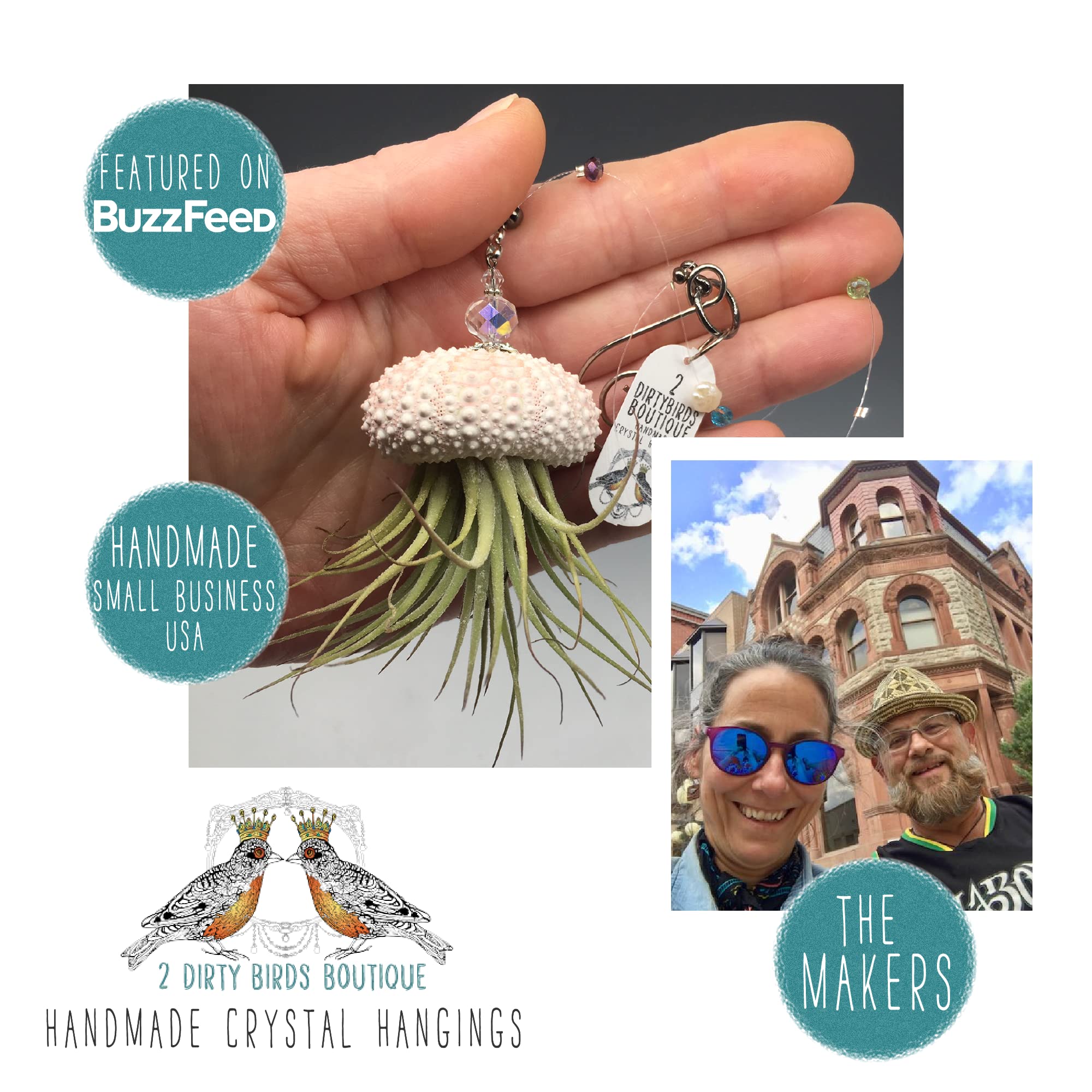 Handmade Single Hanging Jellyfish Air Plant in Sea Urchin Shell with Swarovski Crystals & Freshwater Pearls - Boho Home Décor, Live House Plant for Indoor, Outdoor, Terrarium, or Gift (Perfect for Beach-Themed Rooms, Wedding Centerpieces, and Zen Meditation Spaces)