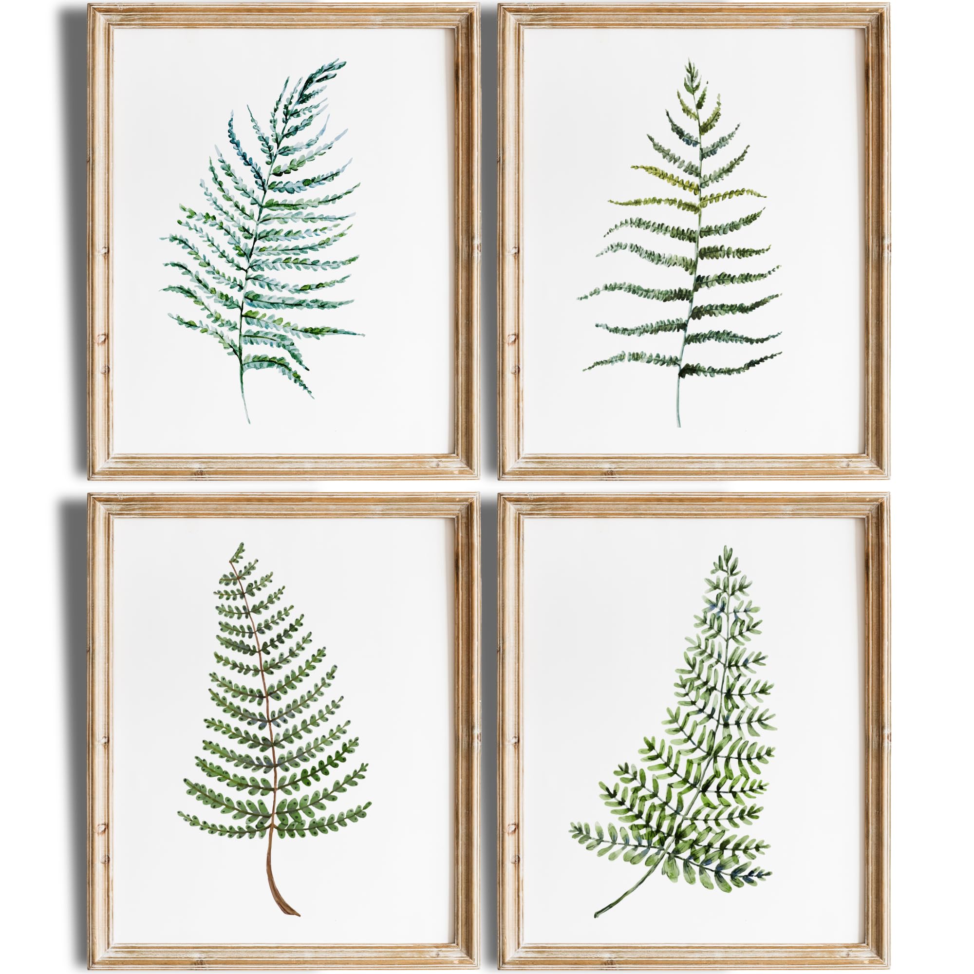 Fern Wall Art Set of 4 - 8x10 Inch Unframed Botanical Prints - Nature Inspired Kitchen Decor for Home & Office - Perfect for Living Room, Bedroom or Dining Area Wall Decoration