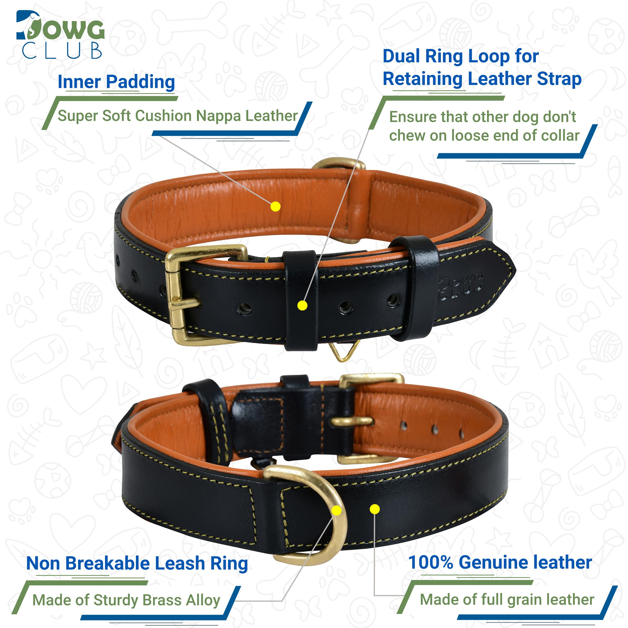 Premium Genuine Full Grain Leather Dog Collar for Medium Dogs - 1 Inch Wide, Heavy Duty with Soft Inner Padding - Comfortable & Durable (14.5