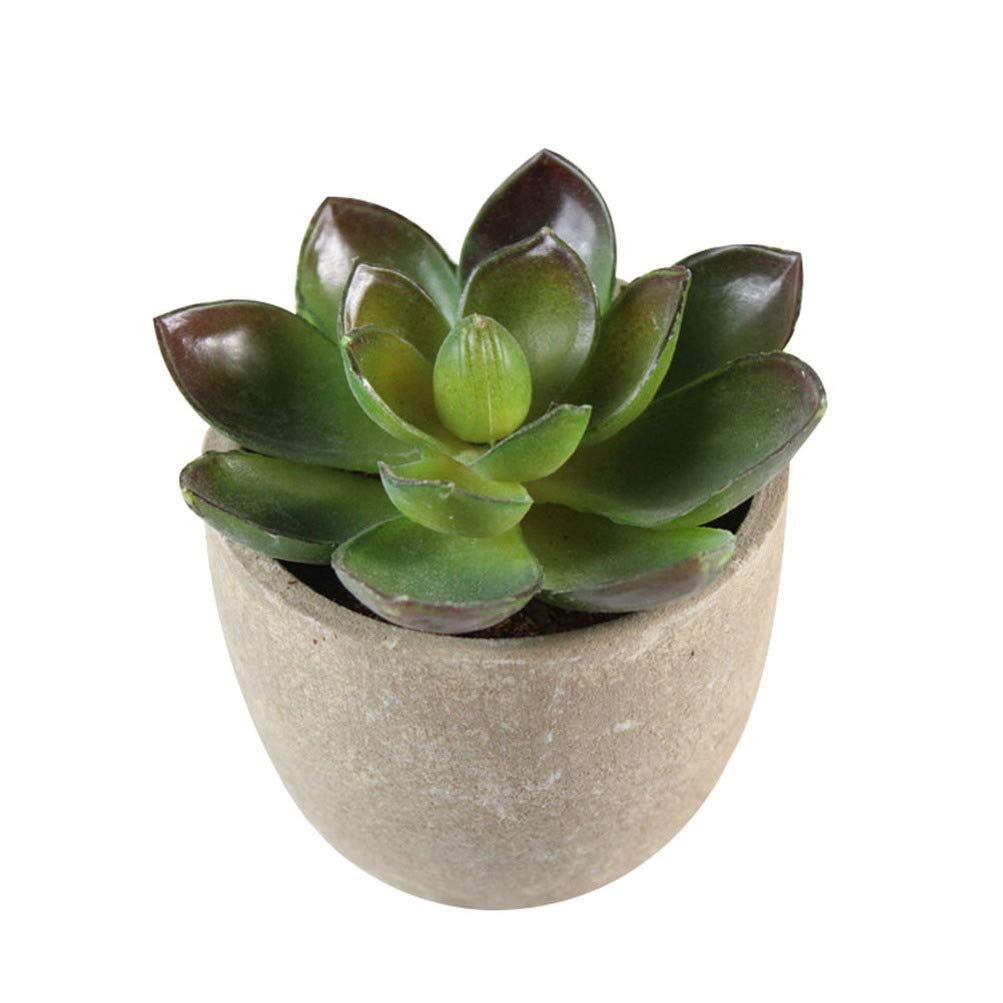 LIOOBO 3-Pack Artificial Succulent Plants in Pots - Realistic Fake Succulents for Home Decor, Office Desk, Wedding Centerpieces & Party Decorations