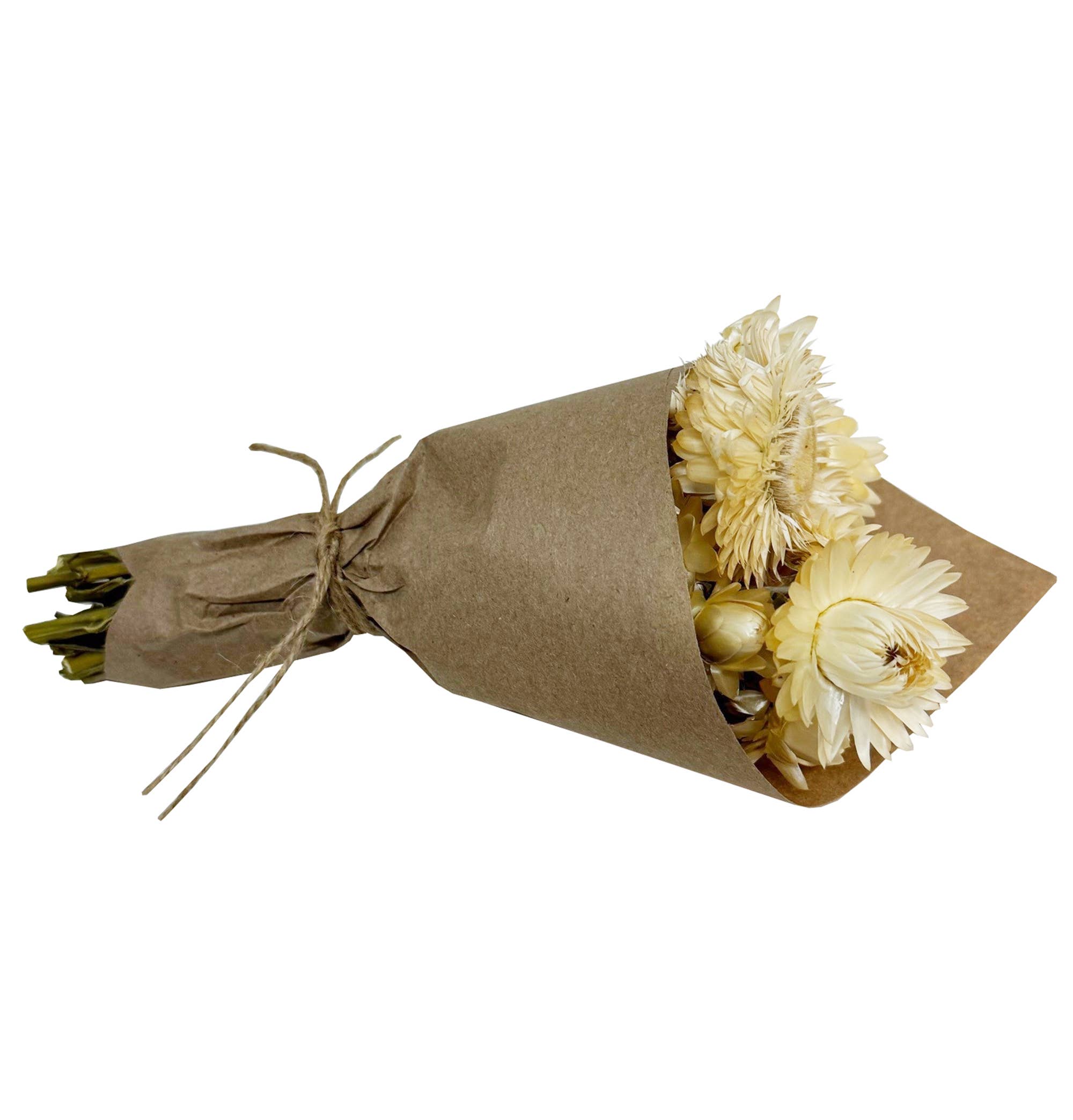 Andaluca MINI Strawflower Bundle in Ivory - Artificial Flowers for Home Decor, Wedding Centerpieces, DIY Crafts, and Floral Arrangements