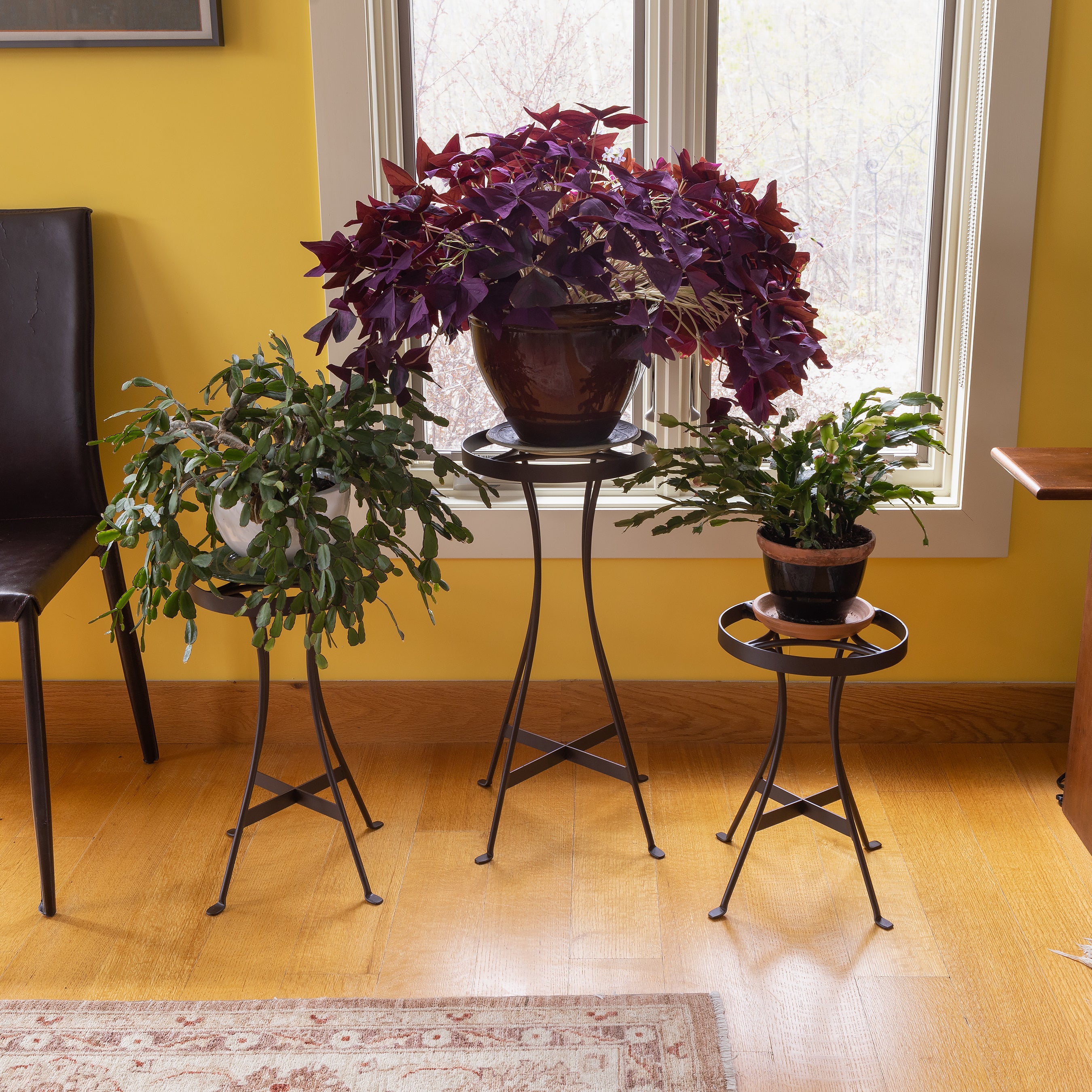 Achla Designs Tara Plant Stand - Indoor & Outdoor Decorative Flower Pot Holder for Home & Garden Decor | Perfect for Living Room, Patio, Balcony