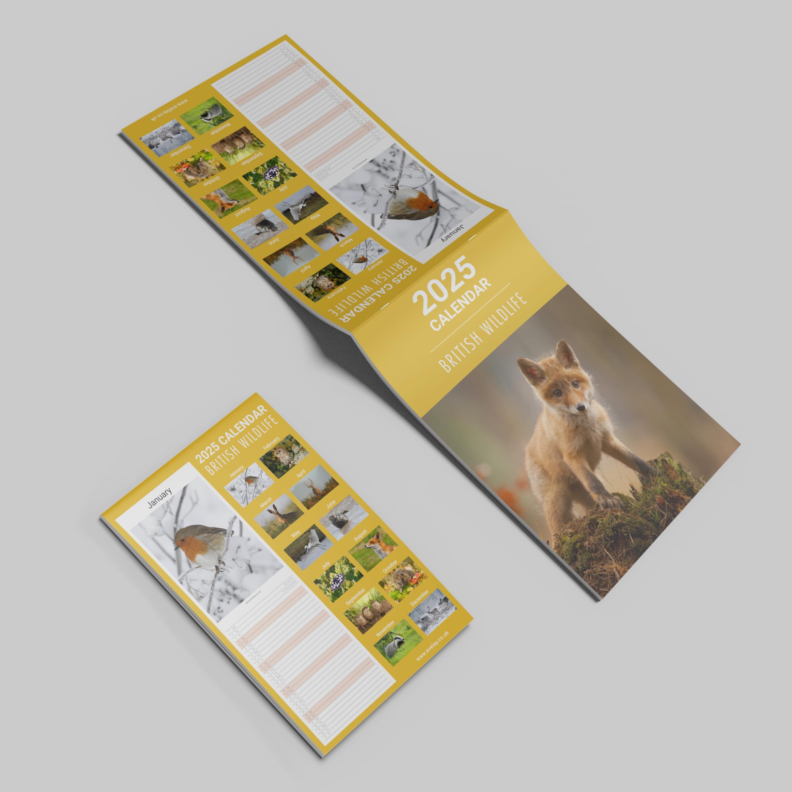 Evelay 2025 British Wildlife Wall Calendar - Slim Monthly Planner with UK Holidays | Family Organizer, Home & Office Decor | Perfect for Gift, Planning & Nature Lovers