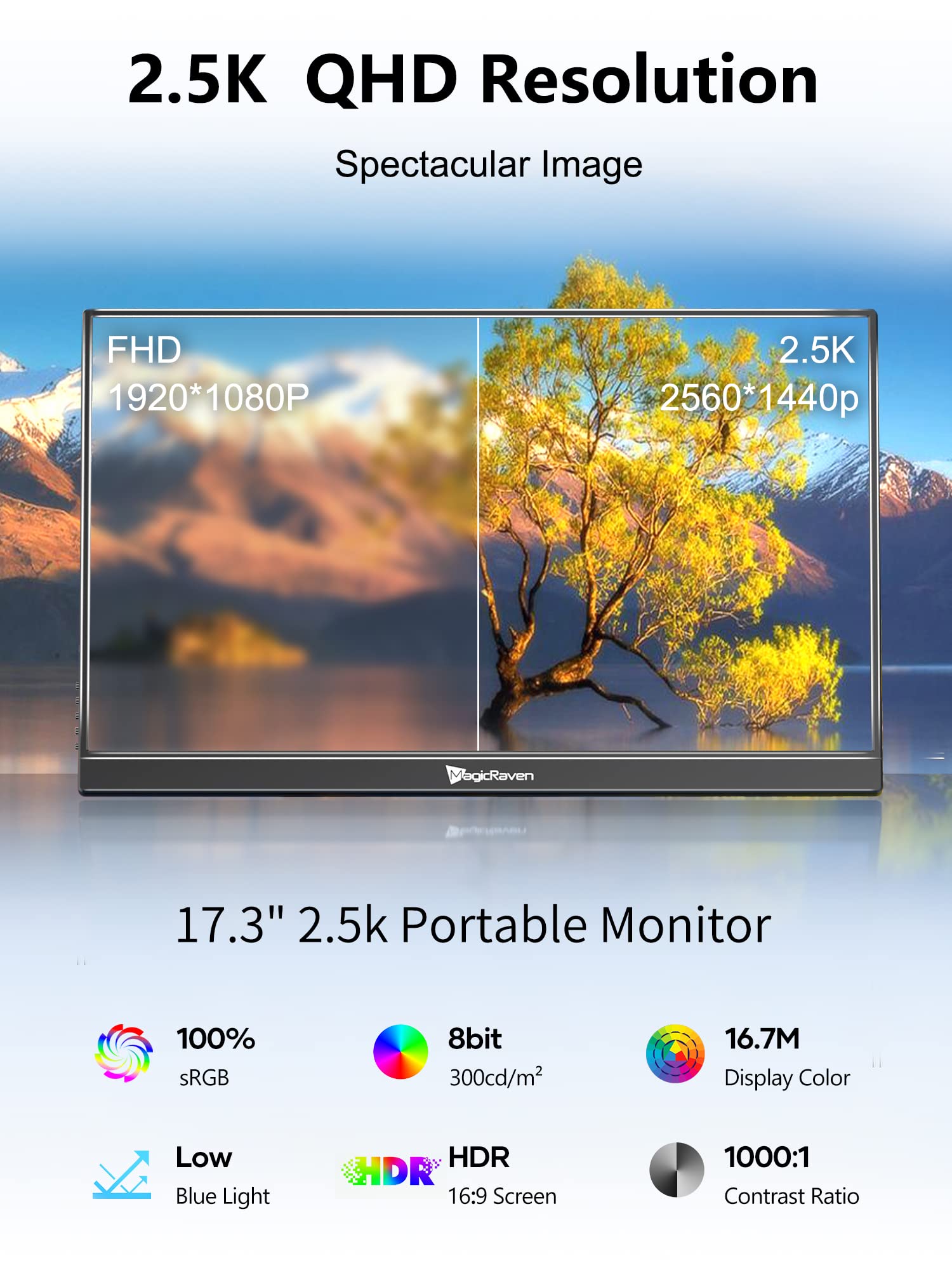 2.5K Portable Monitor - 17.3