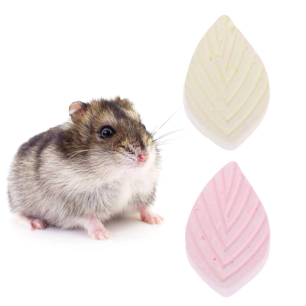 Natural Mineral Chew Toy for Small Pets - Calcium Teeth Grinding Stone for Hamsters, Rats, Chinchillas & Rabbits | Promotes Dental Health | Random Colors | Perfect Cage Accessory for Rodent Teeth Care