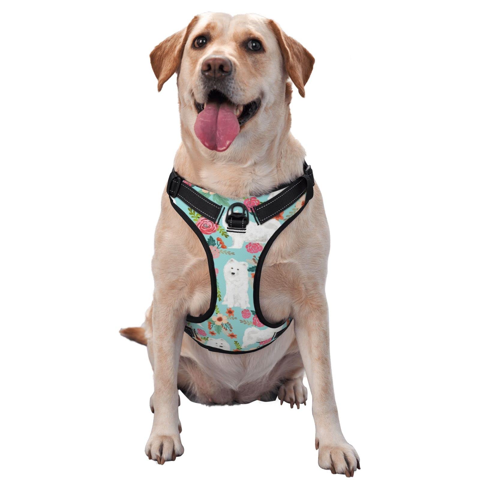 No Pull No Choke Adjustable Reflective Dog Harness with Leash - Floral Oxford Vest for Small to Medium Dogs, Puppies (Samoyed, Poodle, etc.) - Perfect for Walking, Training, Running & Outdoor Adventures