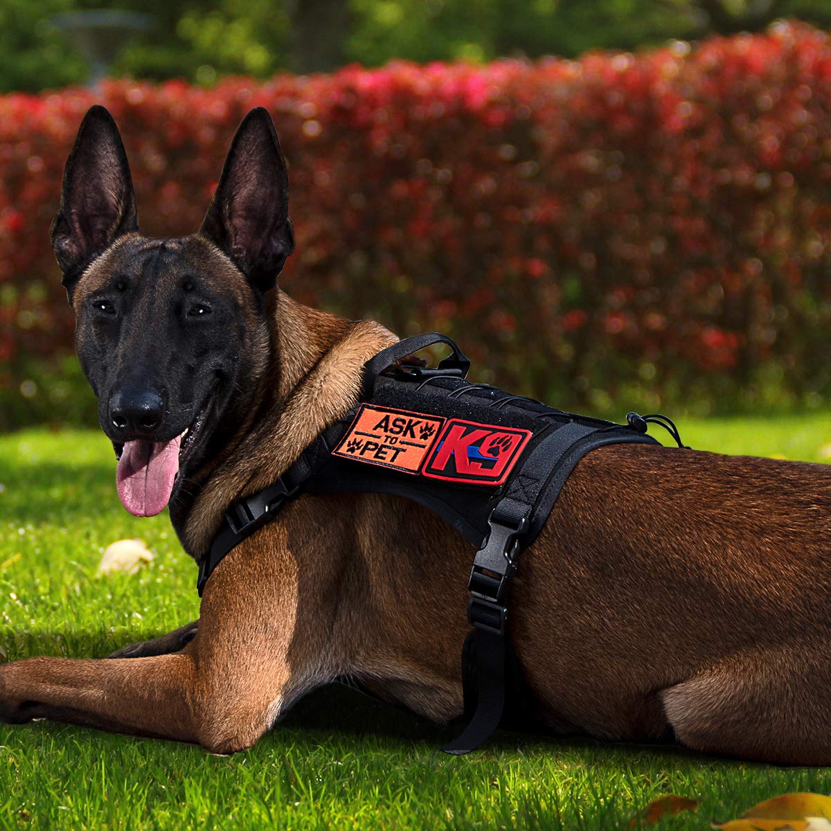 Tactical Dog Vest with MOLLE & Handle - Durable Service Dog Harness for Patrol, Training & Outdoor Adventures | Perfect for Police K9, Military Dogs & Search & Rescue Missions