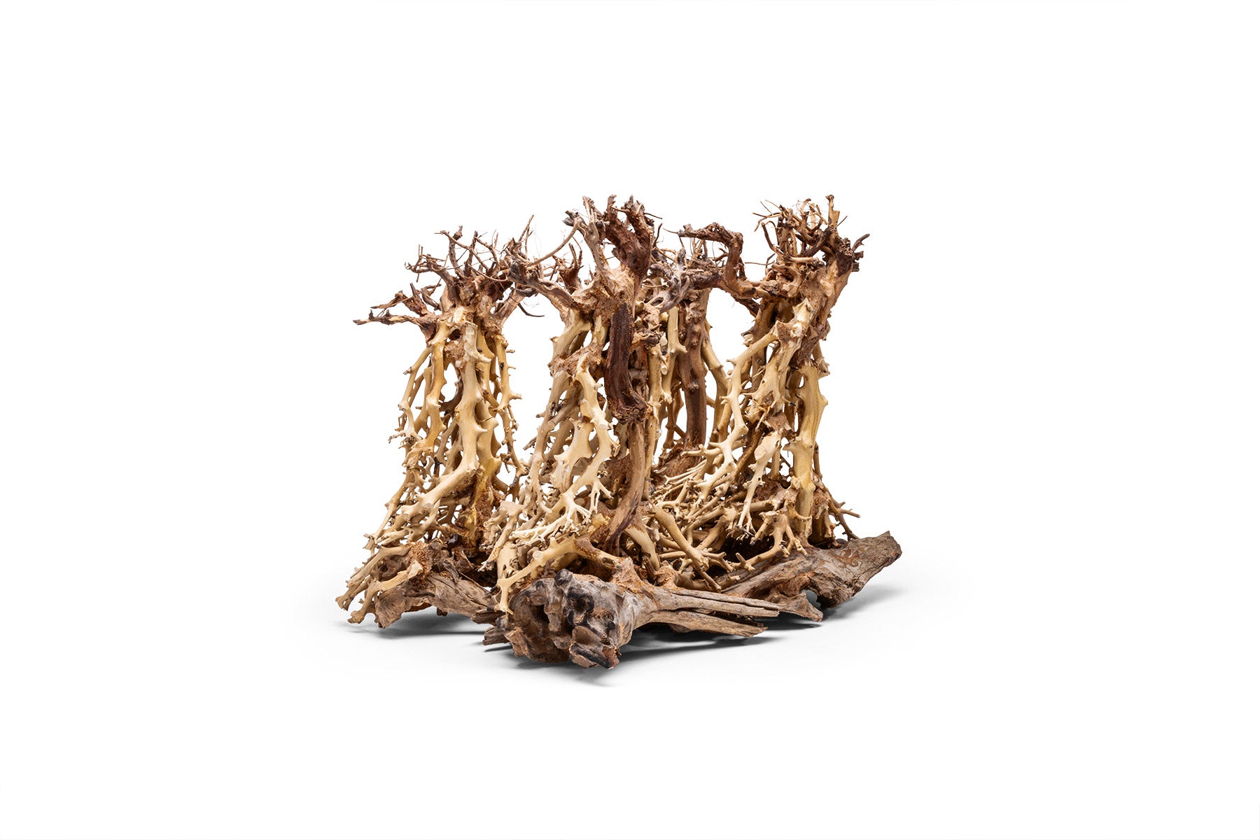 UNS Bonsai 003 - Premium Aquarium Bonsai Tree for Fish Tank Decoration | Perfect for Aquascaping, Shrimp Tanks & Natural Underwater Landscapes