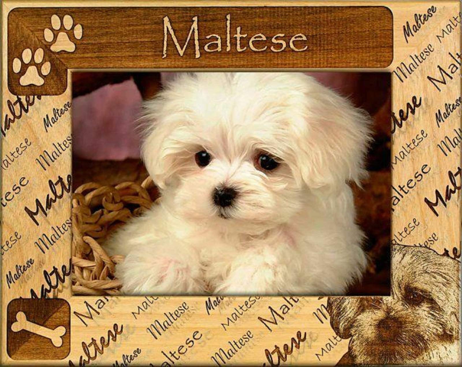 Personalized Maltese Laser Engraved Wood Picture Frame 5x7 Inches - Perfect for Wedding, Anniversary, and Family Photo Display