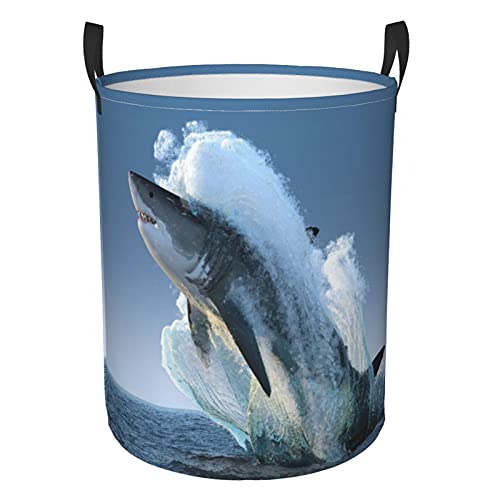 Shark Jumps out Water