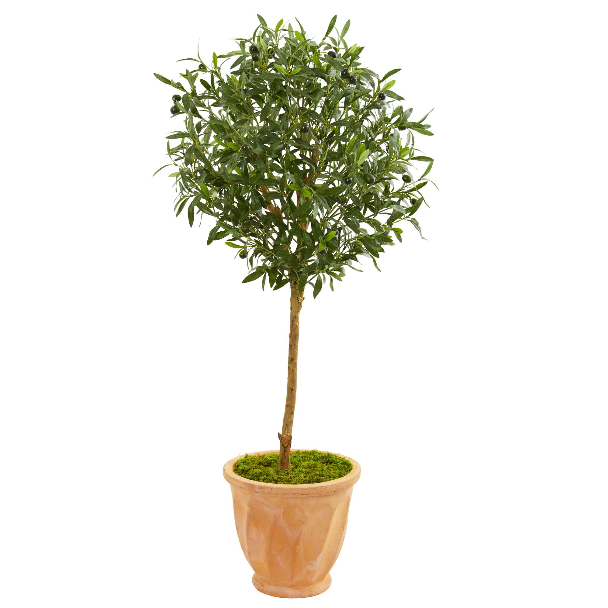 Nearly Natural 4-Ft Artificial Olive Tree in Terra Cotta Planter - Realistic Silk Green Foliage for Home Decor, Office, Patio & Indoor Plants
