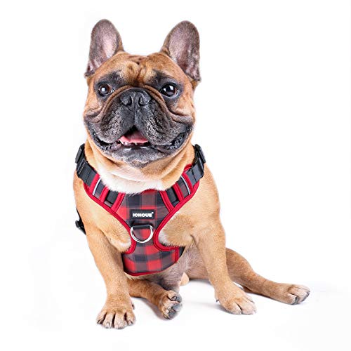 Red Grid Vest Harness