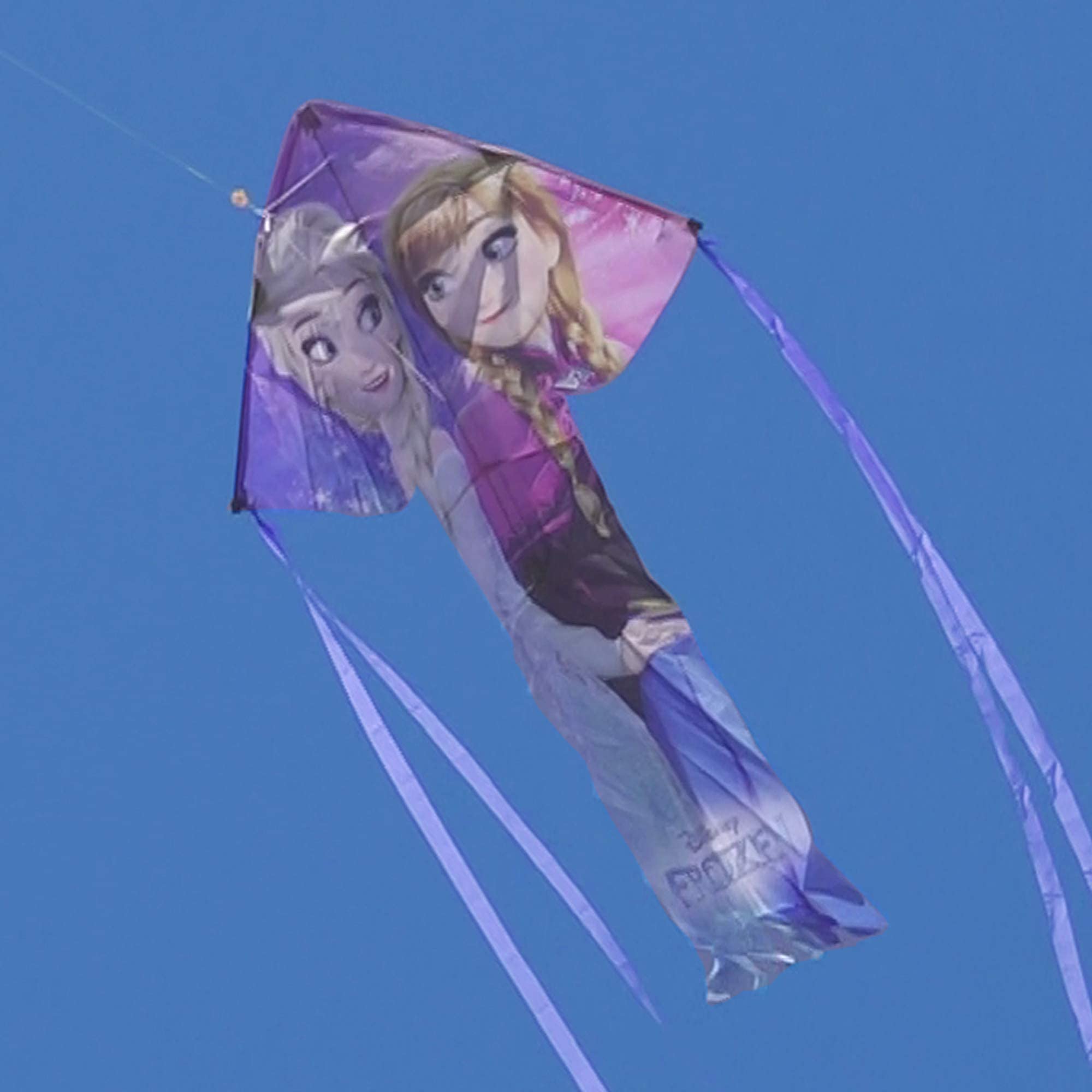 X Kites SkyFlier 50-Inch Nylon Kite - Frozen Themed Outdoor Flying Toy for Kids & Adults | Perfect for Beach, Park & Family Picnics
