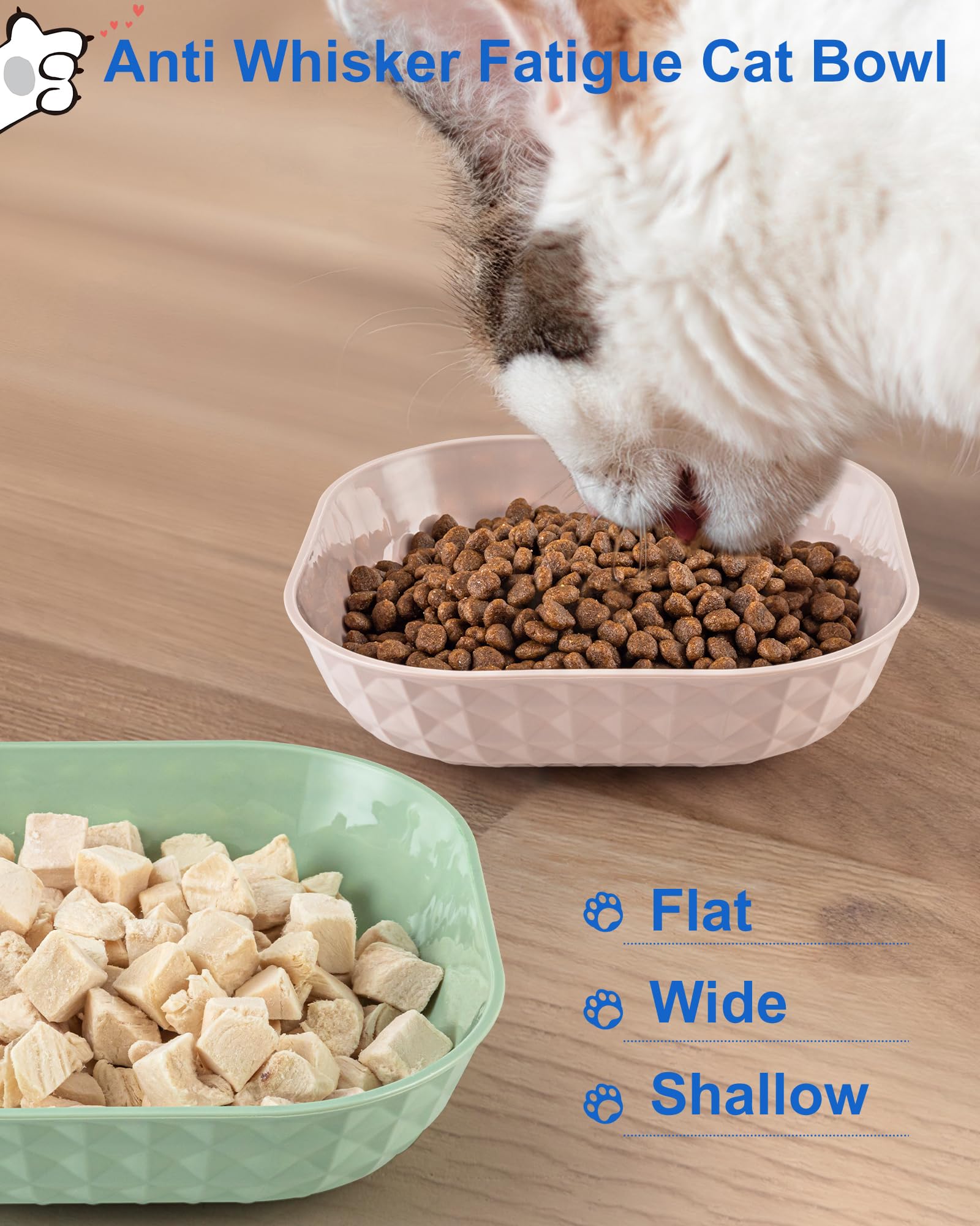6-Pack Non-Slip Cat Food Bowls for Wet & Dry Food - Anti Whisker Fatigue Shallow Kitten Dishes, 5.5