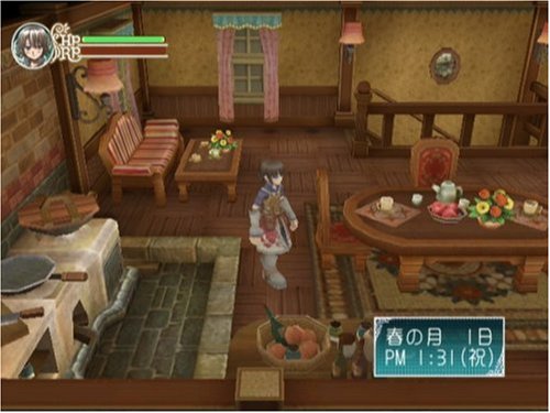 Rune Factory: Frontier - Nintendo Wii Game - Fantasy Farming & Adventure RPG for Family Fun & Relaxing Gameplay
