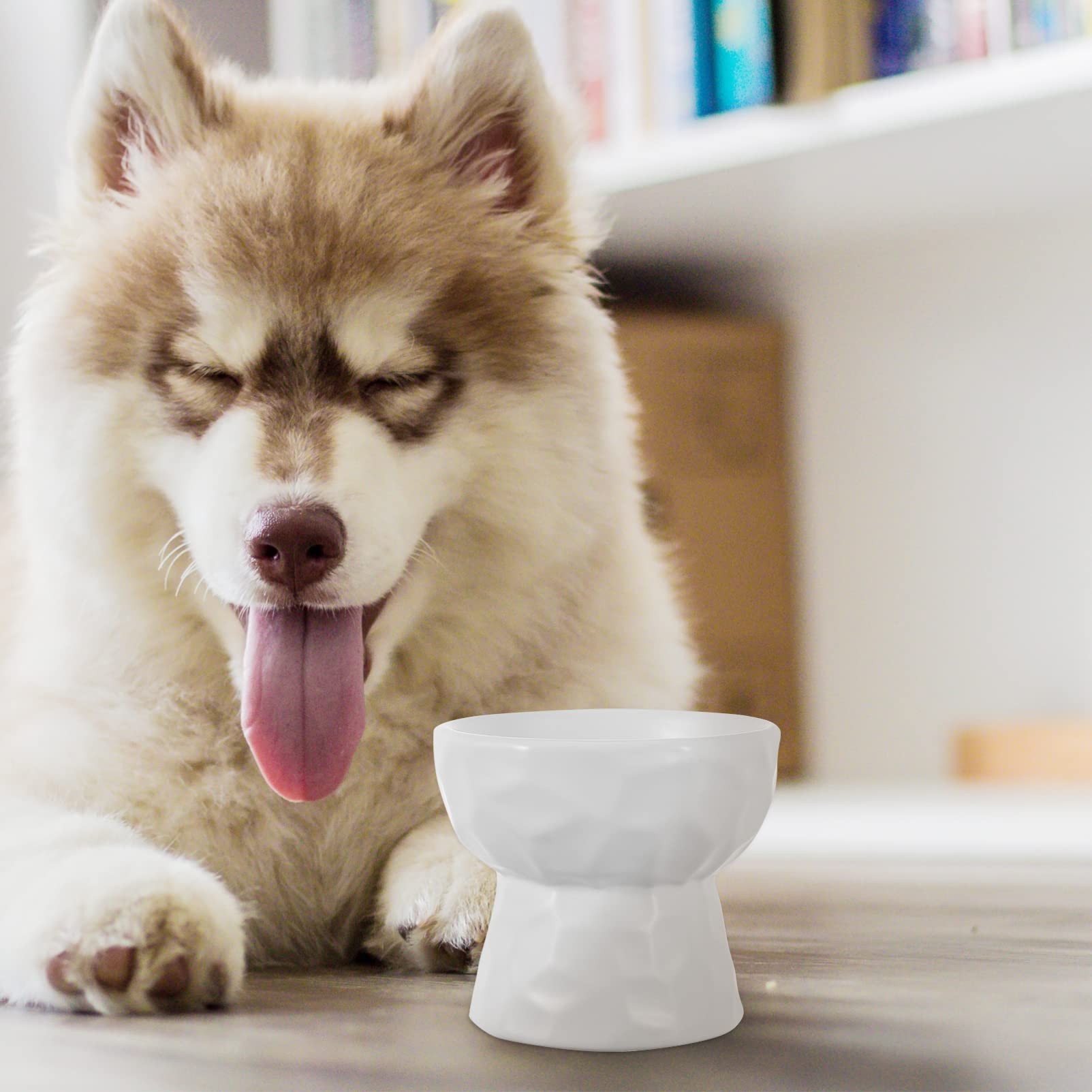 Ceramic Raised Cat and Dog Food Bowls - 250ml White Pet Feeder Bowl for Small Dogs & Cats - Durable Ceramic Pet Food & Water Container - Perfect for Elevated Feeding, Auto Feeder Use, and Home Dining Stations