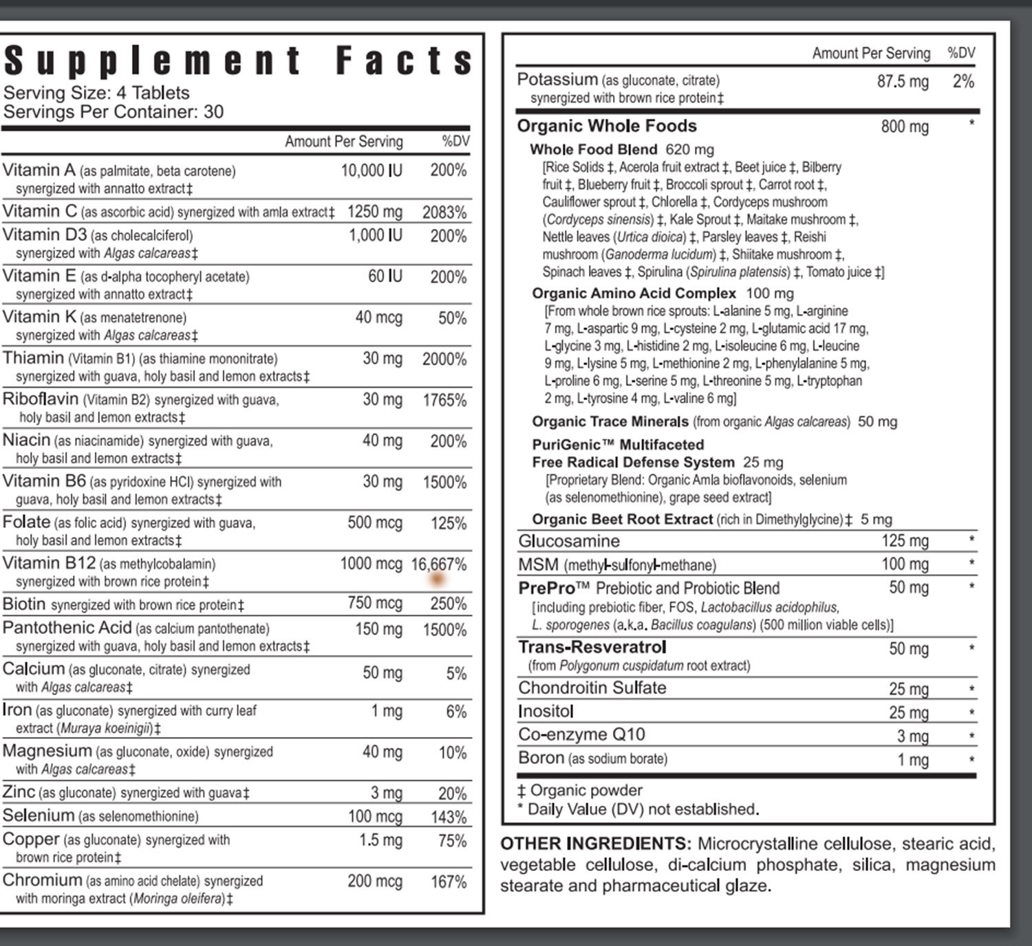 Youngevity Beyond Tangy Tangerine 2.0 Multi-Vitamin & Mineral Complex - Natural Whole Food Supplement with 160,000 ORAC Value | 120 Tablets (6-Pack) for Daily Energy & Immune Support | Perfect for Active Lifestyles & Wellness Routines