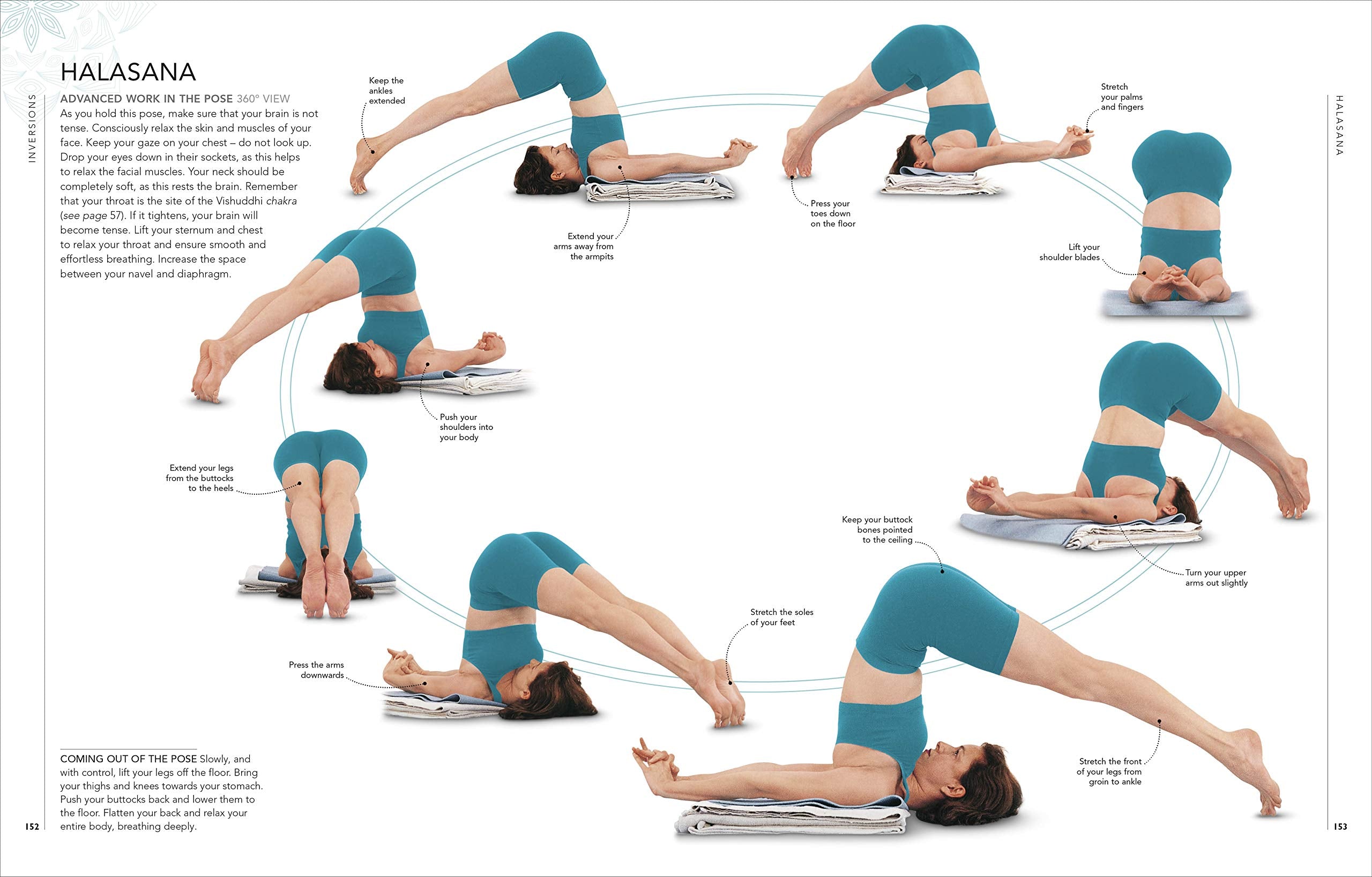 B.K.S. Iyengar Yoga: The Path to Holistic Health - Definitive Step-by-Step Guide (Hardcover) | Perfect for Home Practice, Yoga Studios & Wellness Retreats