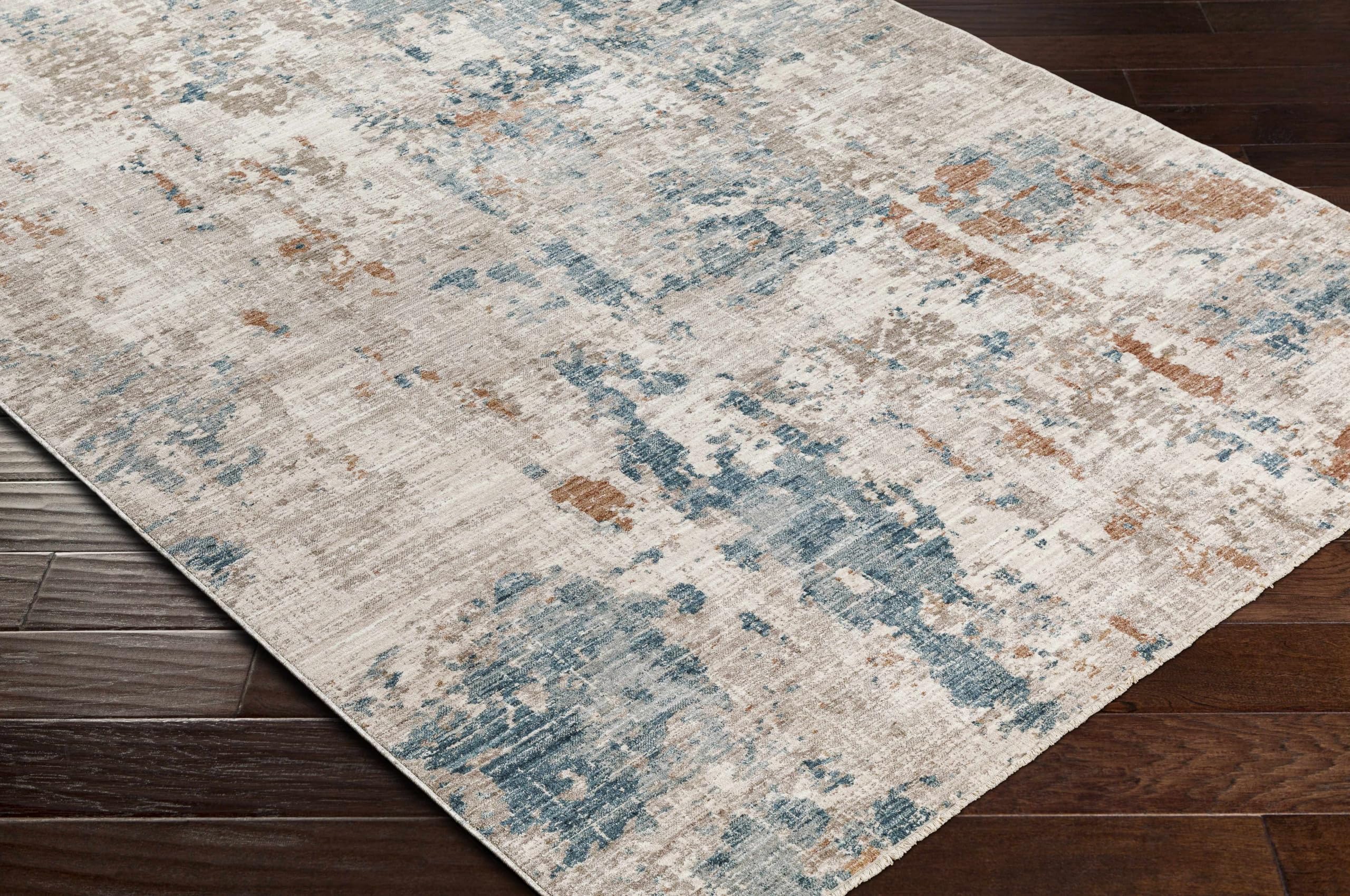 Hauteloom Danlugan Soft Area Rug for Living Room & Bedroom - 5'3