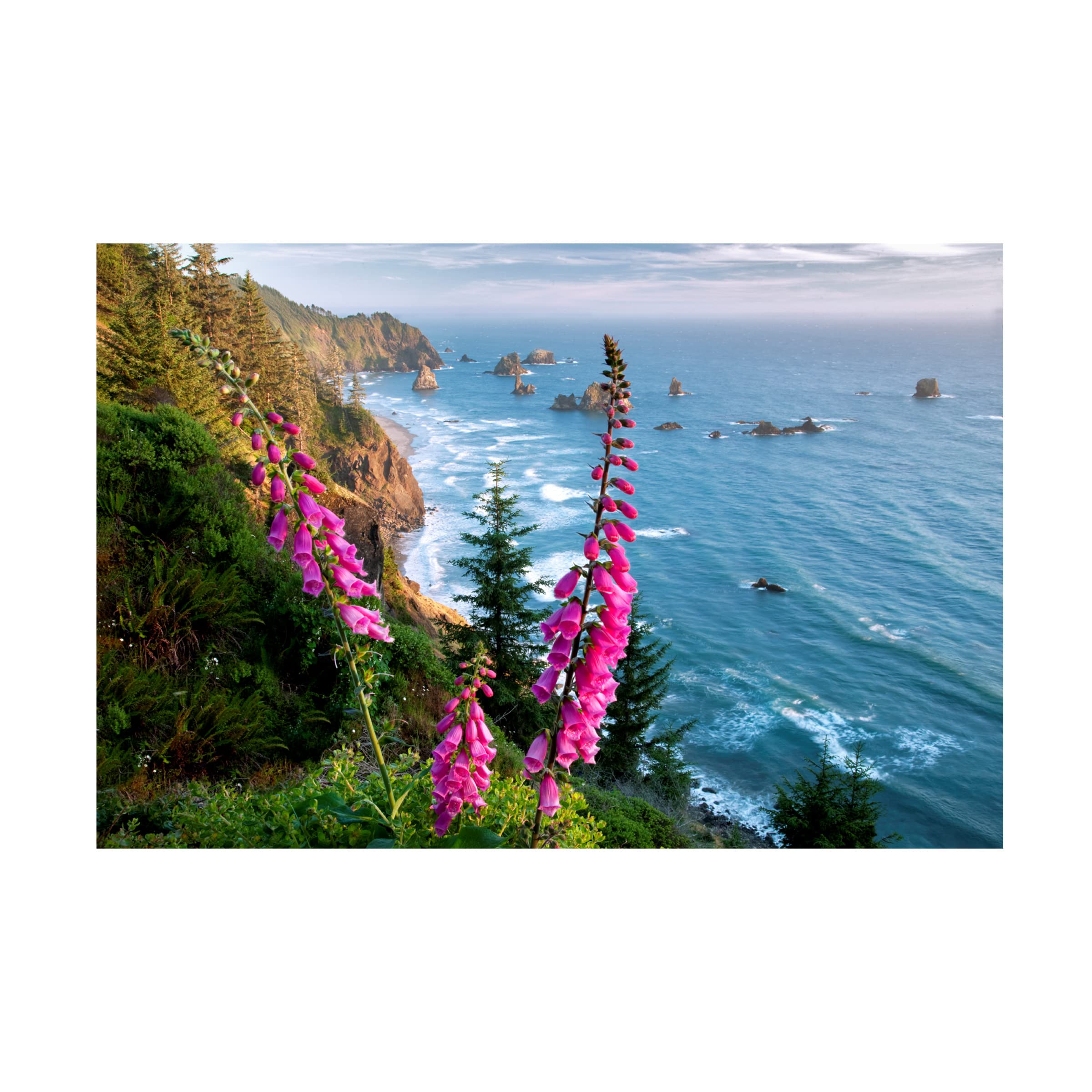 Trademark Fine Art 'Foxgloves' Canvas Wall Art by Dennis Frates - Floral Home Decor for Living Room, Bedroom & Office