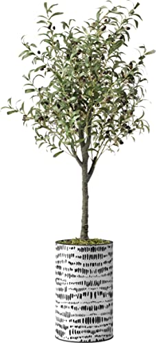 Contemporary Planter - 01