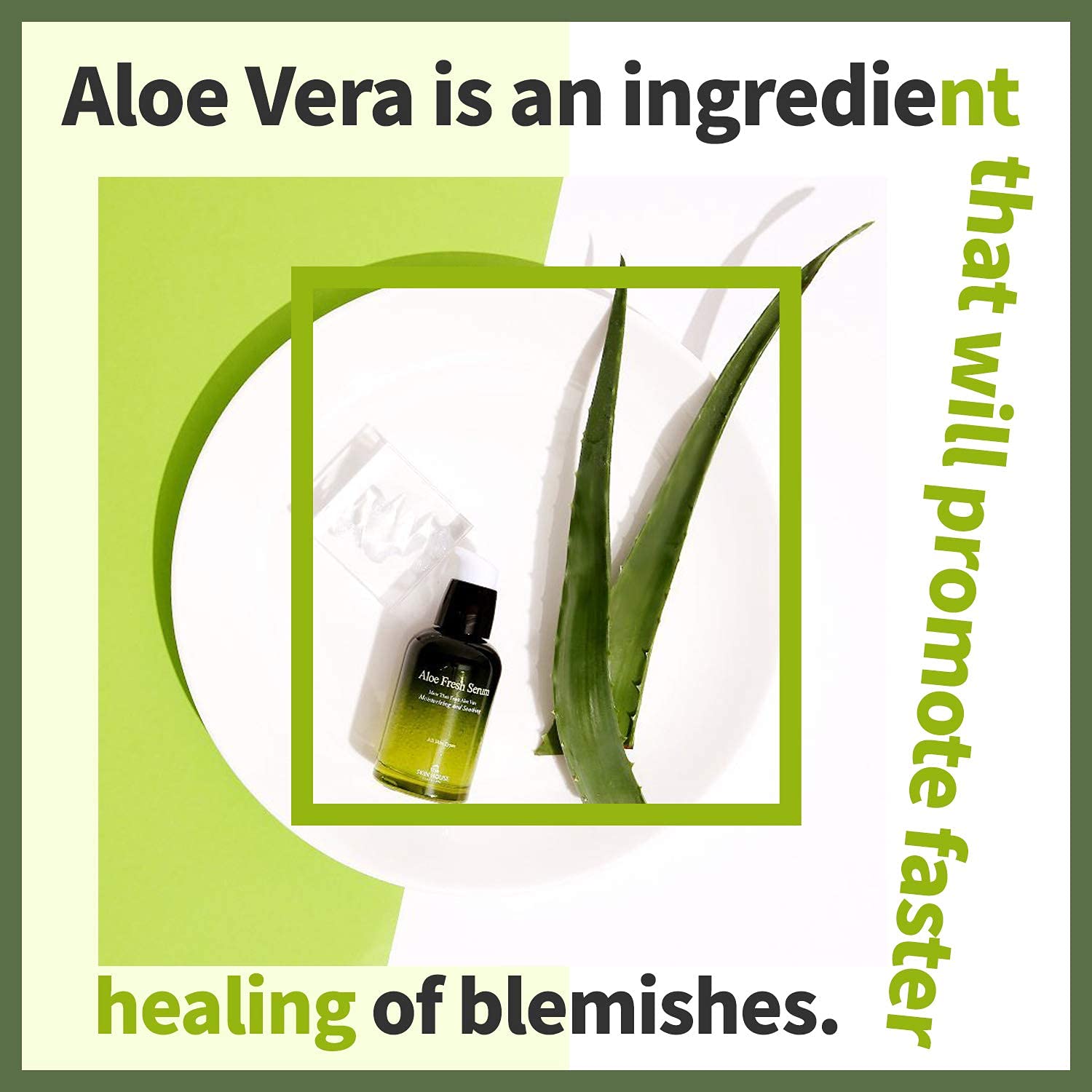 THE SKIN HOUSE Aloe Fresh Serum 1.7 fl.oz (50ml) - Soothing, Calming & Moisturizing Facial Serum with Aloe Vera, Collagen & Betaine | Korean Skincare for Dry, Sensitive & Irritated Skin | Perfect for Daily Hydration & Post-Sun Care