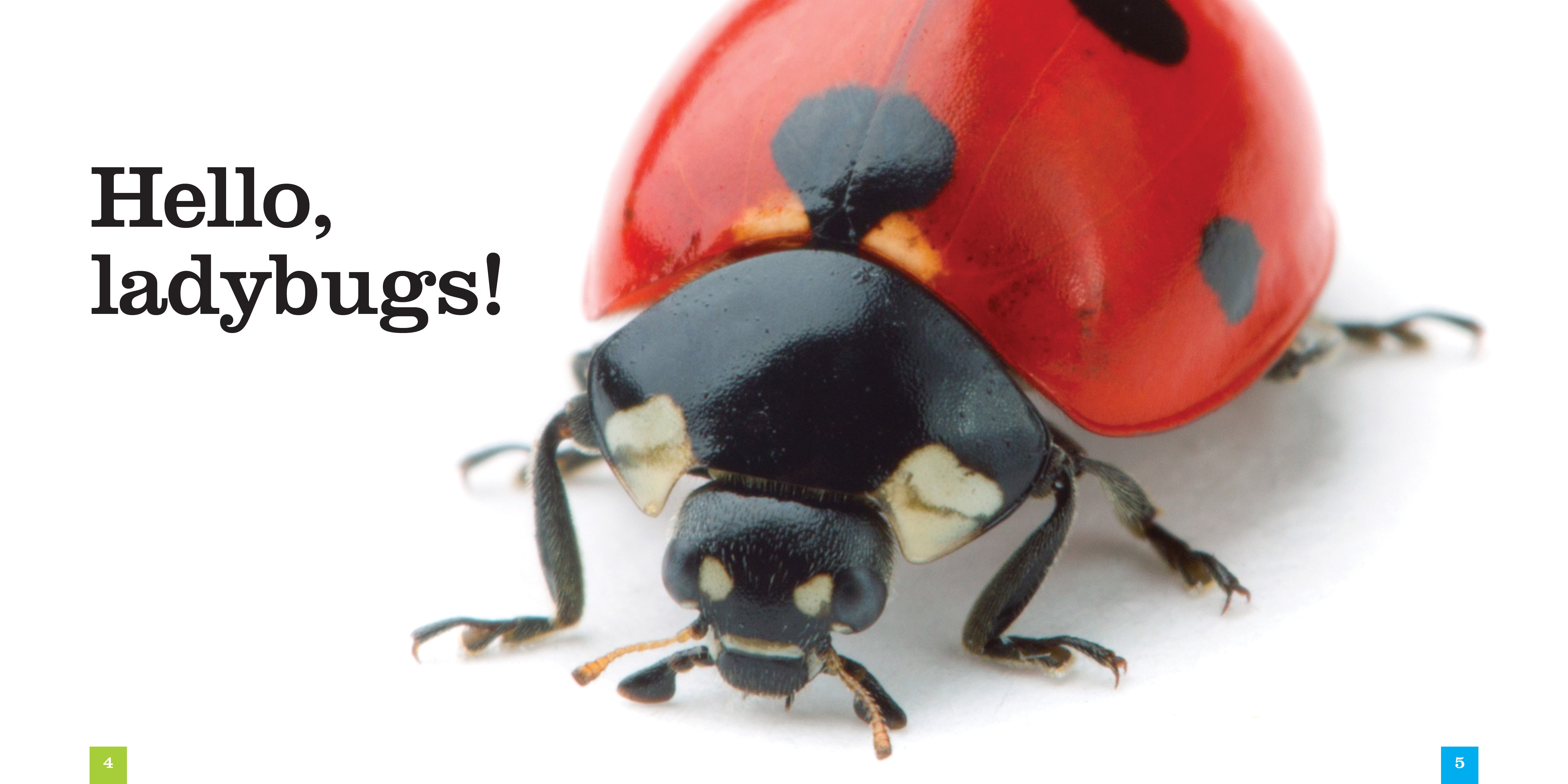 9781608184590 Ladybugs Book - Learn About Ladybugs, Their Life Cycle & Habitat - Perfect for Kids, Nature Lovers & Classroom Learning