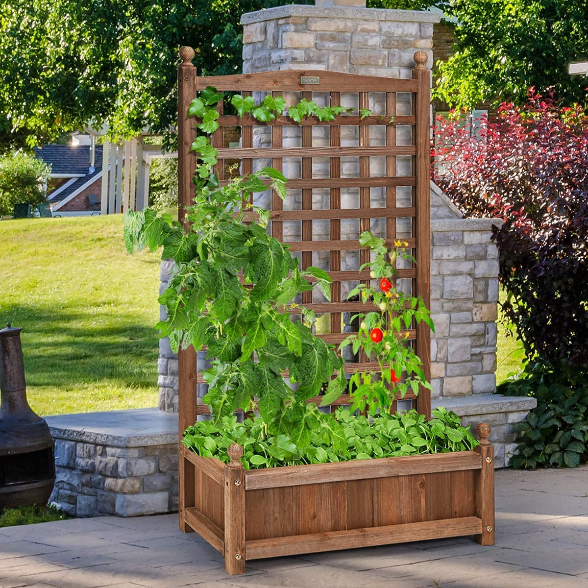 GRAFFY Wooden Raised Garden Bed with Trellis - Outdoor Planter Box for Climbing Plants, Vegetables & Flowers - Free Standing Elevated Planter with Drainage Holes - Perfect for Patio, Backyard & Small Space Gardening