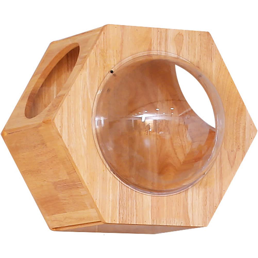 Hexagon Wall Mounted Cat Bed - Floating Wooden Cat Shelf & Perch for Climbing, Lounging & Play - Modern Cat Activity Tree, Shelter & Condo for Indoor Cats - Perfect for Small Spaces & Cat Enrichment