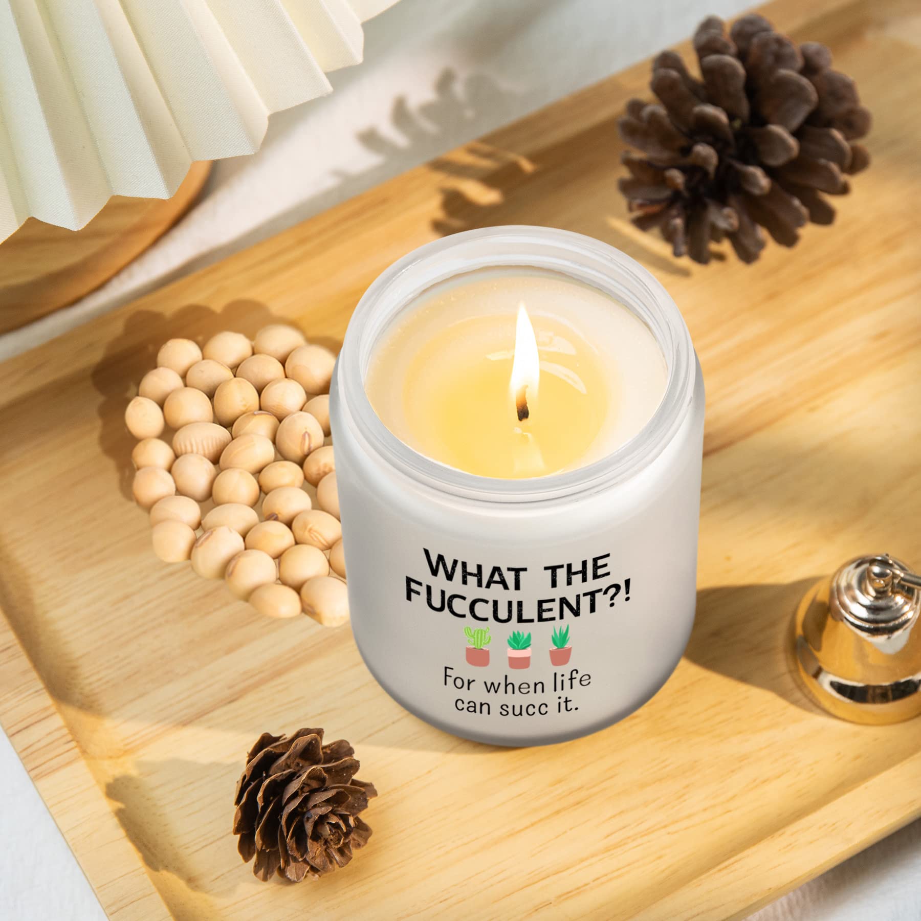 Funny & Unique Gifts for Women - Cactus Succulents & Lemongrass Sage Candles (7oz) - Perfect Birthday, Christmas, Friendship Presents for BFF, Sister, Female Coworker, or Men - Ideal for Home Decor, Relaxation, and Thoughtful Gestures