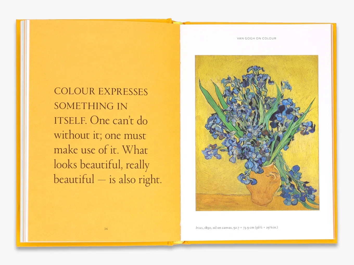 The World According to Vincent van Gogh - Explore the Artist's Unique Perspective | Perfect for Art Lovers, Book Collectors & Van Gogh Enthusiasts