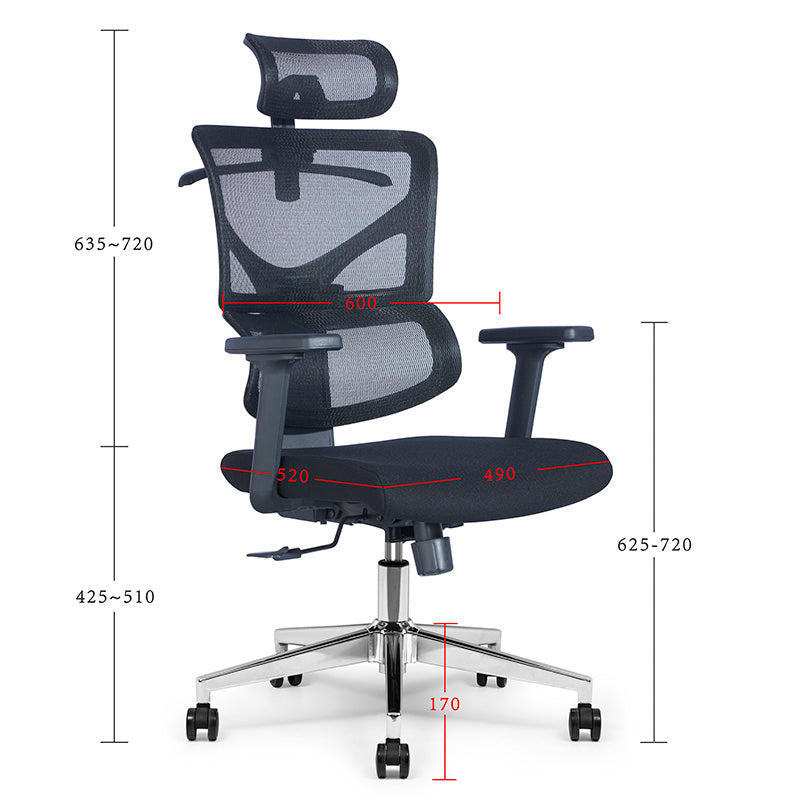 BIRGER Executive Office Chair with Headrest - Ergonomic High Back Desk Chair for Home & Office - Adjustable Lumbar Support - Black (Perfect for Long Work Hours & Gaming)