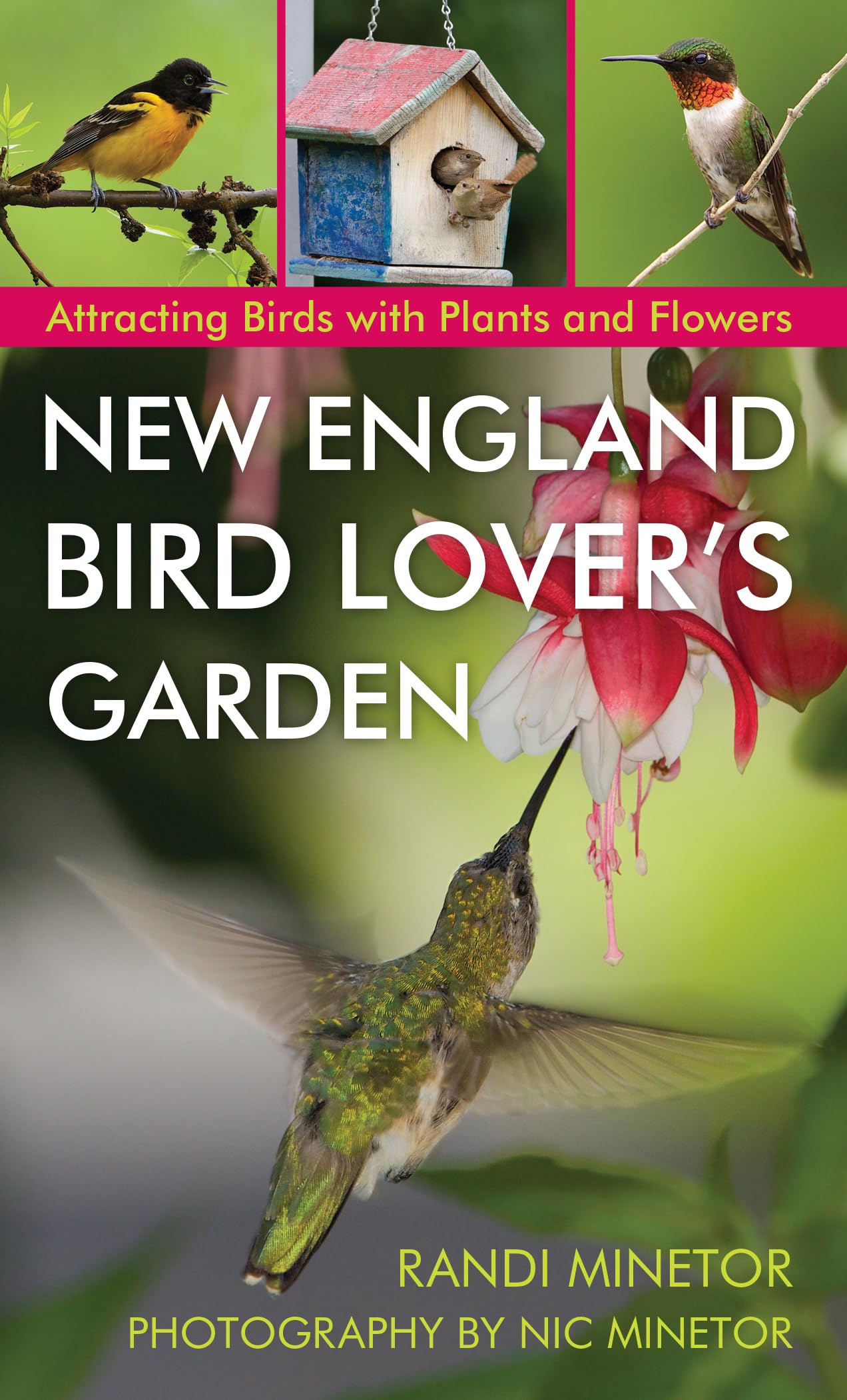 New England Bird Lover's Garden Guide - Best Plants & Flowers to Attract Wild Birds | Backyard Birdwatching & Nature Habitat
