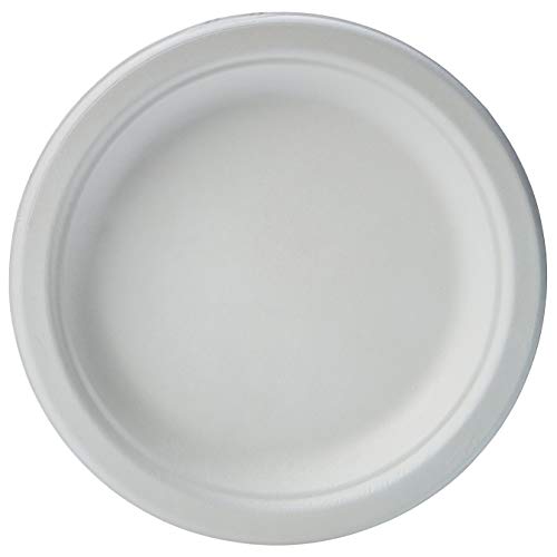 Amazon Basics 6-Inch Compostable Plates - 125 Count, Eco-Friendly Disposable Plates for Parties, Picnics & Outdoor Dining