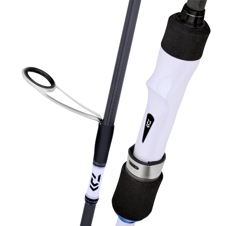 Daiwa 20 Feet Spin Fishing Rod - Lightweight Carbon Fiber Saltwater Freshwater Fishing Pole for Surf, Pier & Boat Fishing