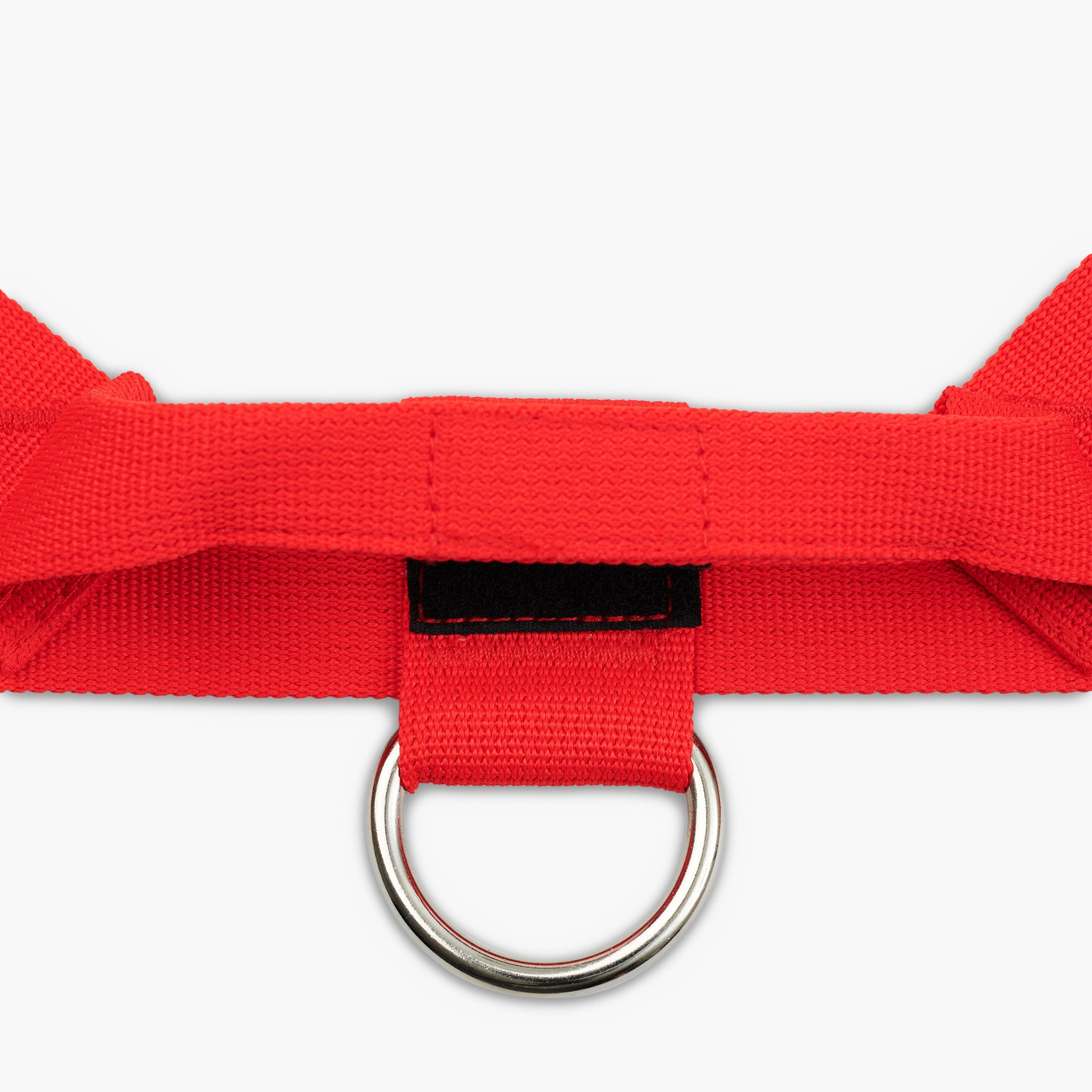 Premium No-Pull Dog Harness with Padded Chest - Adjustable & Reflective for Small to Large Dogs - Perfect for Walking, Running & Outdoor Adventures